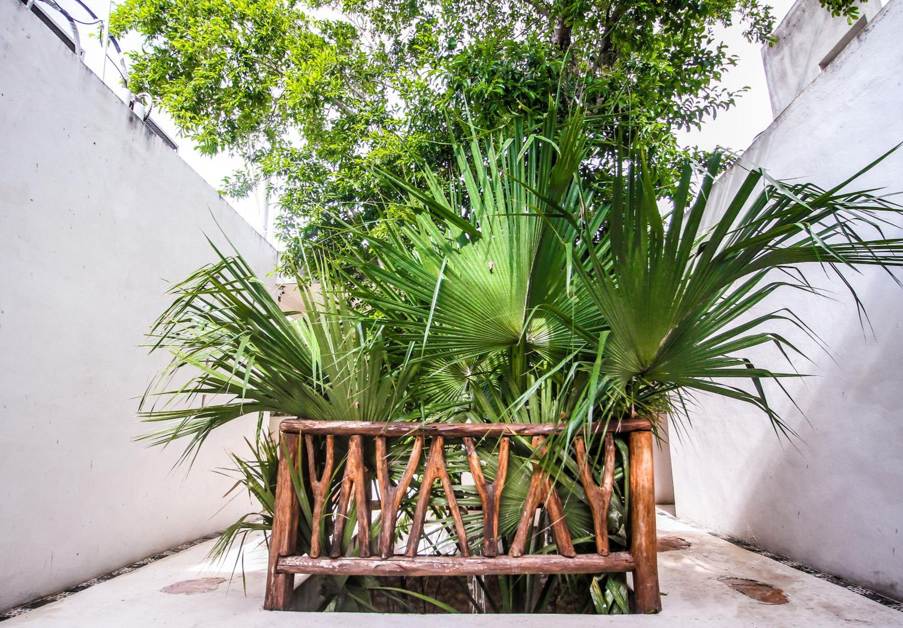 Corazon De Jade Tulum - Property Image 66