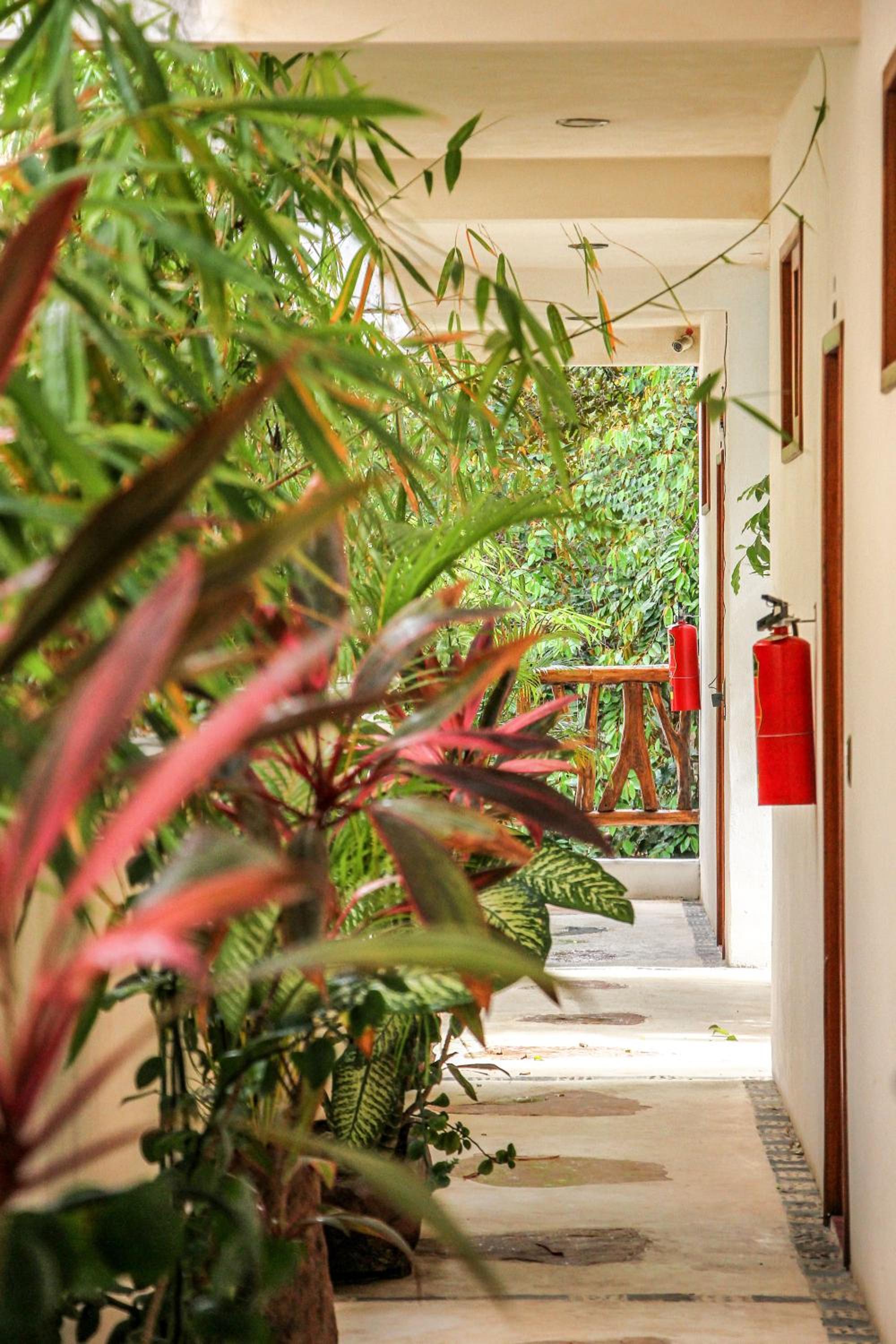 Corazon De Jade Tulum - Property Image 72