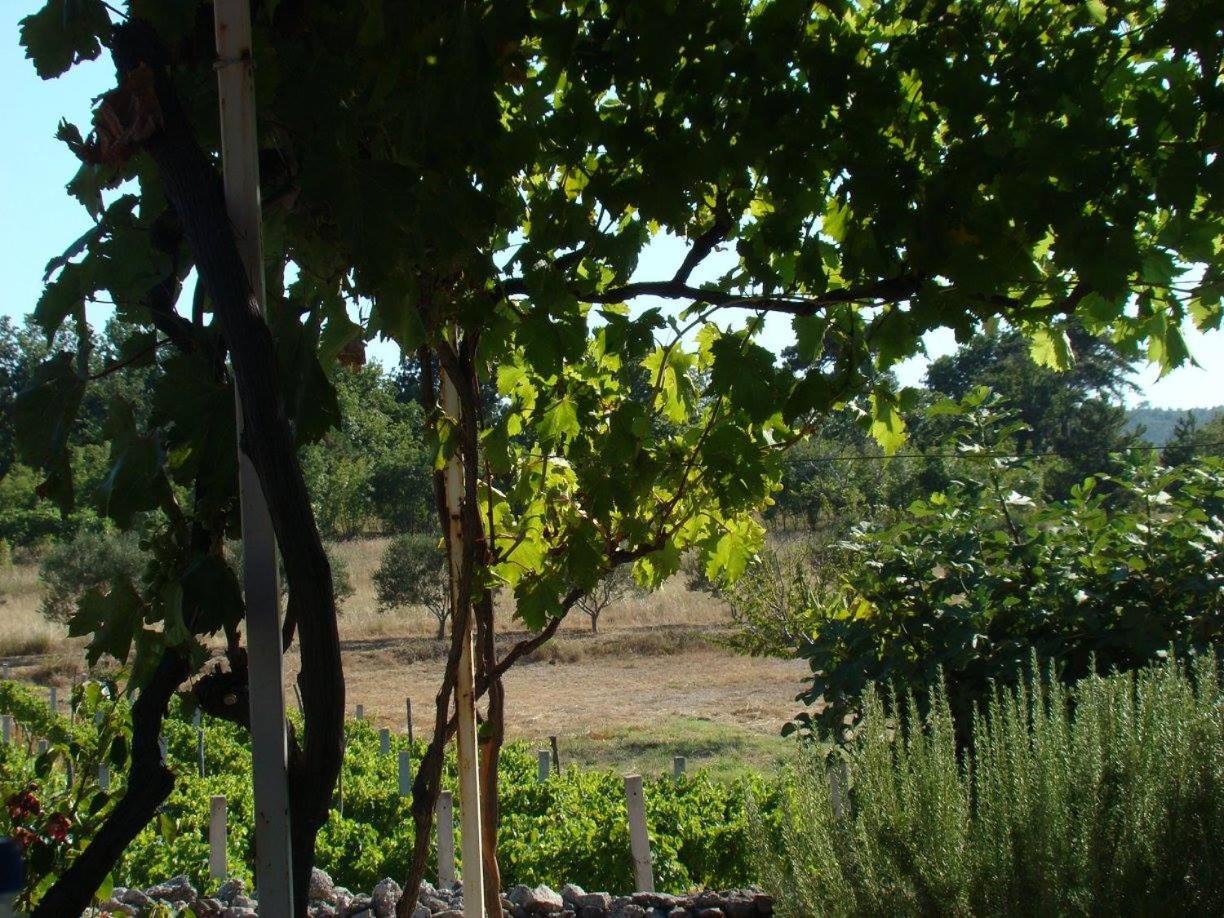 Photo 41