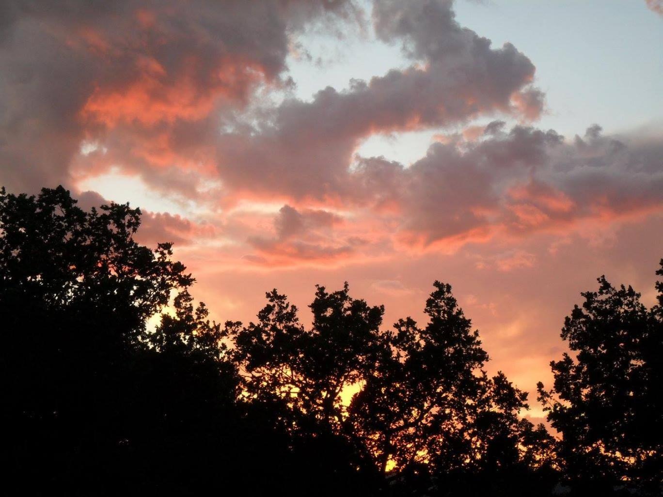 Photo 44