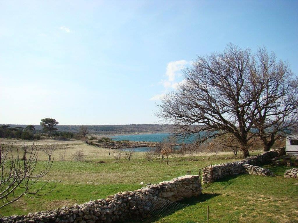 Photo 45