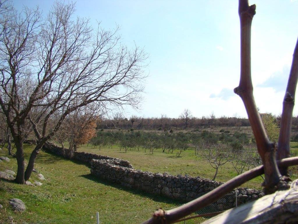 Photo 49