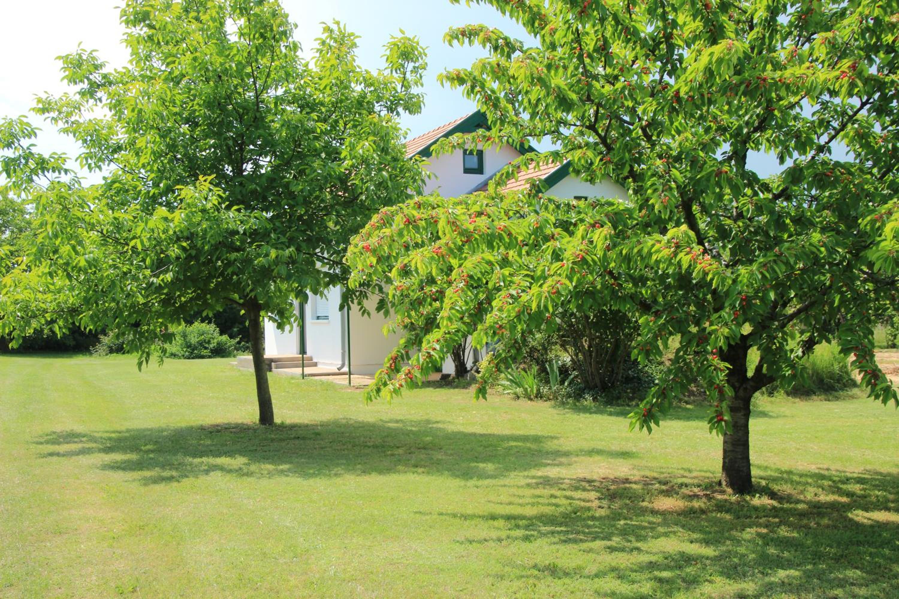 Szőlőhegyi házikó - Cottage in the vineyard view 5