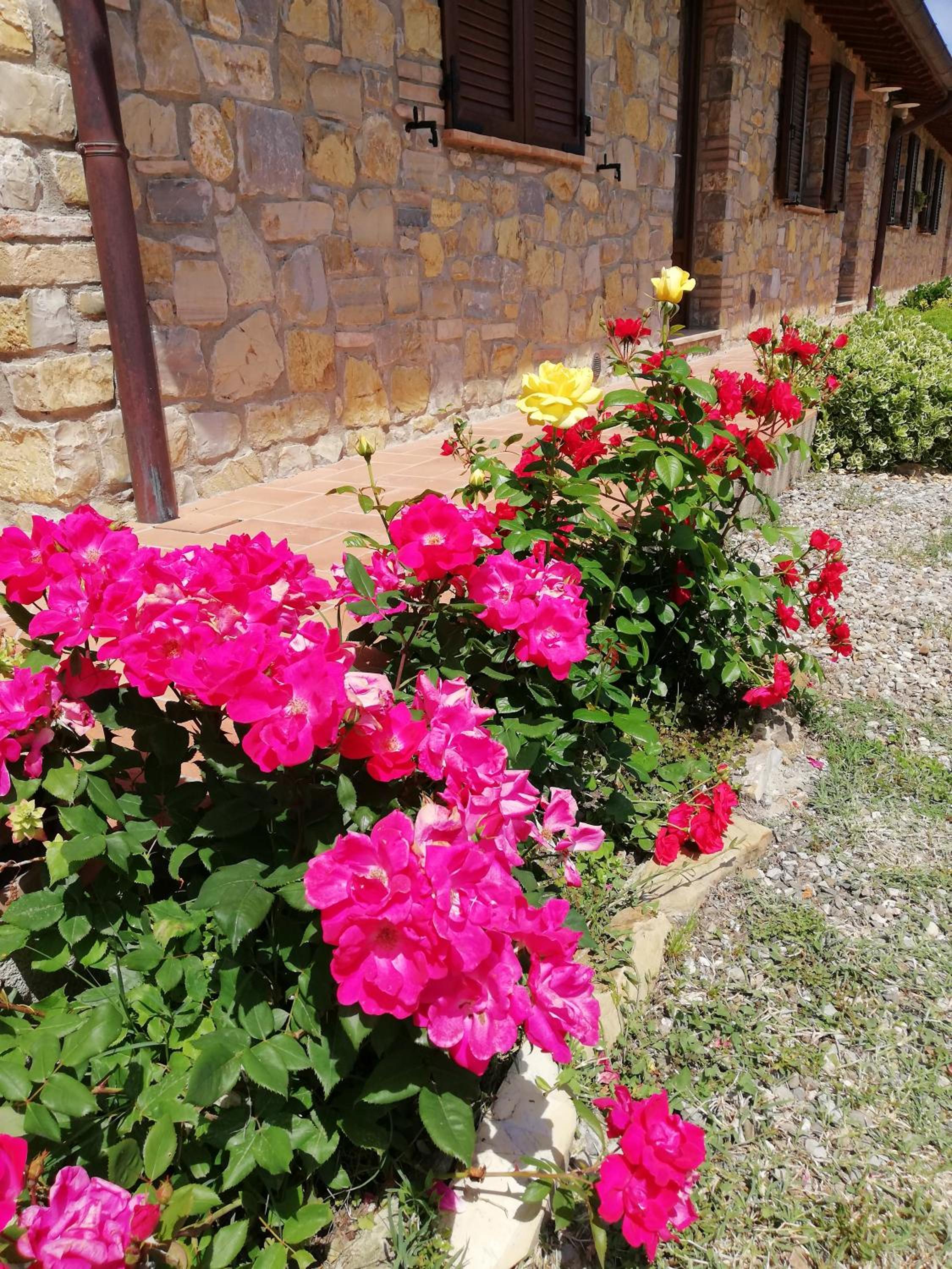 Agriturismo Collomici