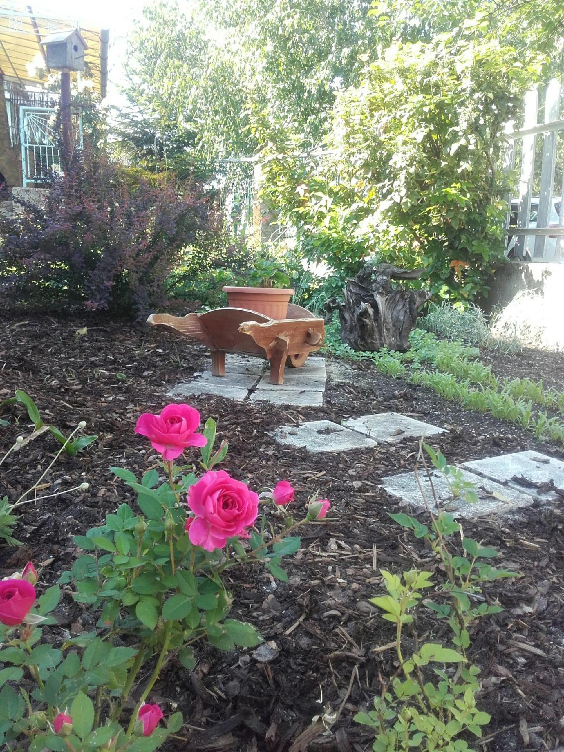 Photo 15