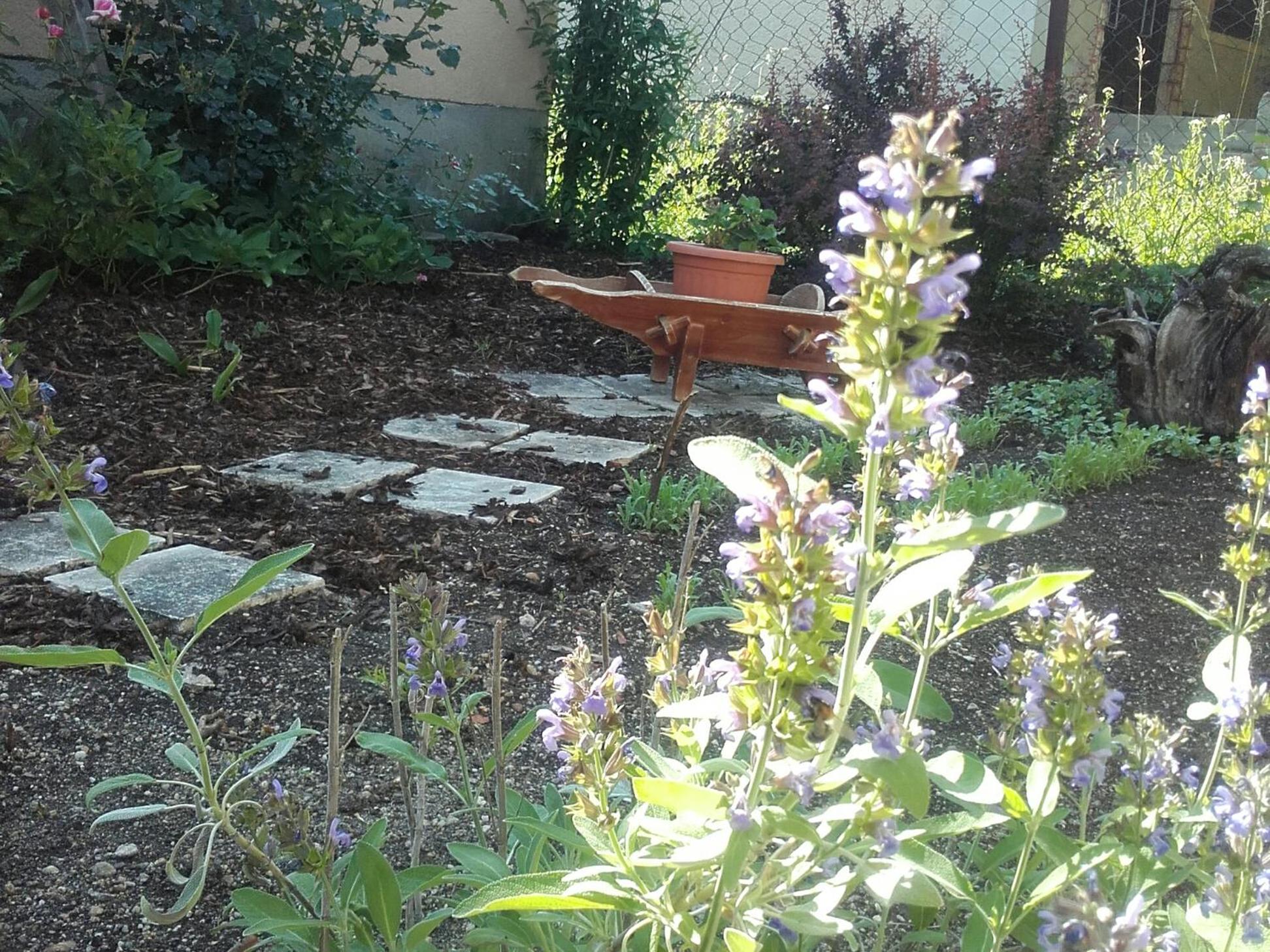 Photo 14