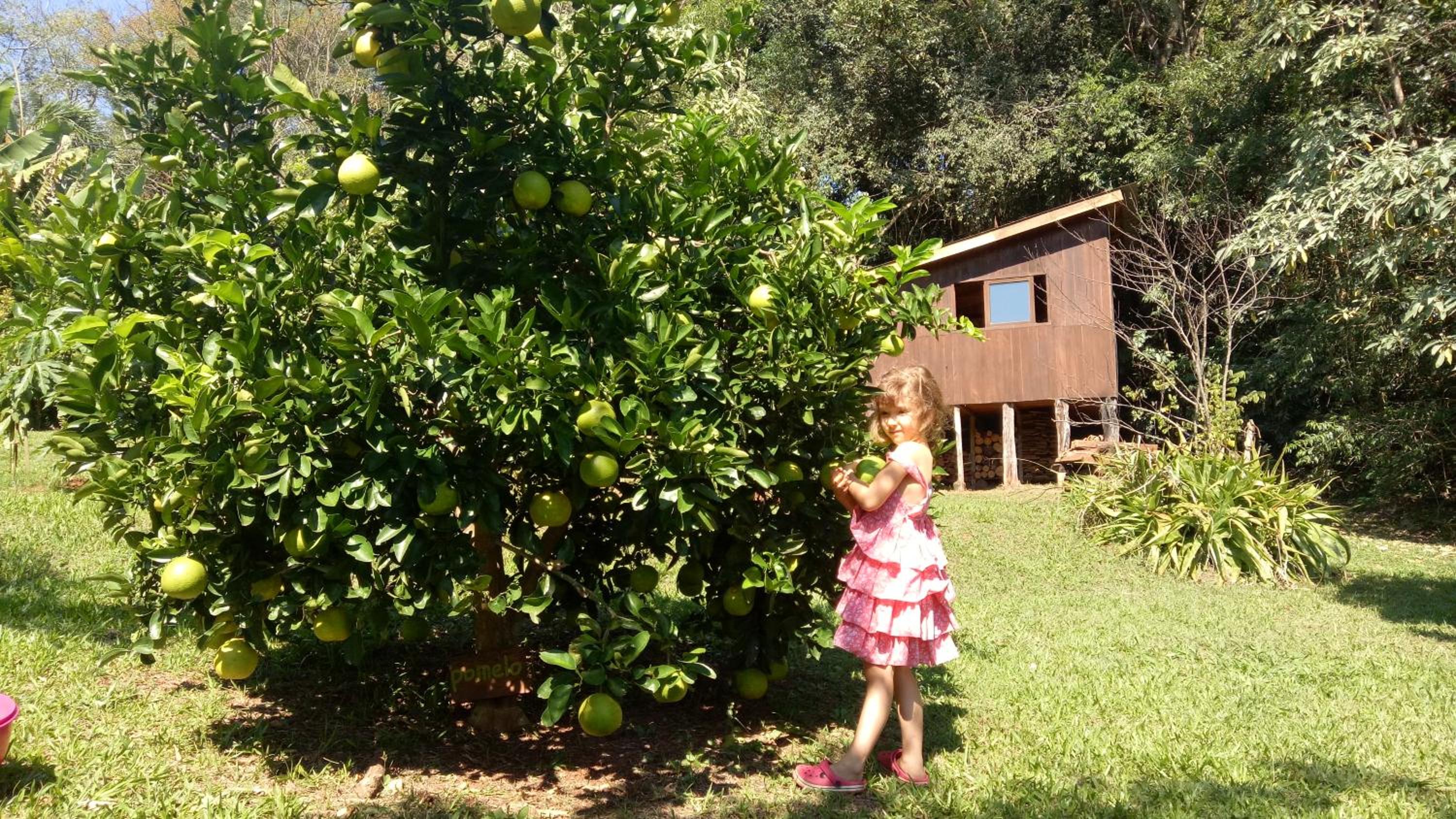 Posada Camboatá