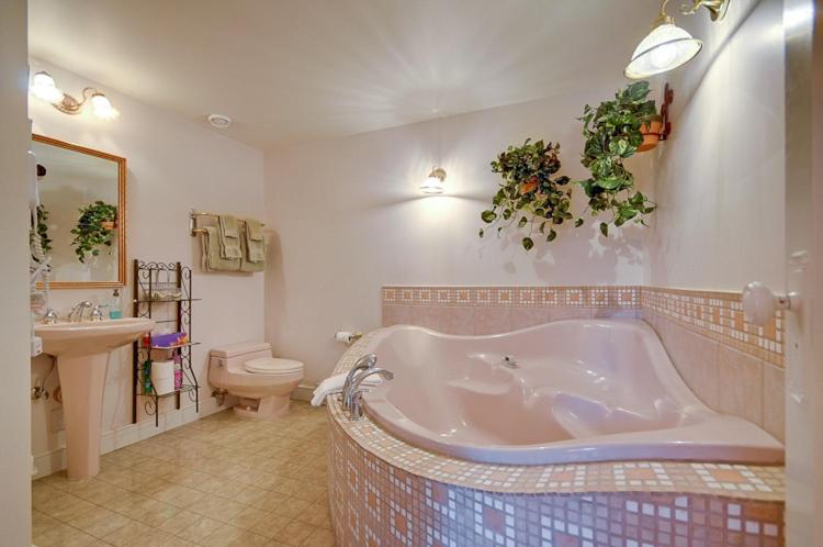 Amethyst Inn, photo 62