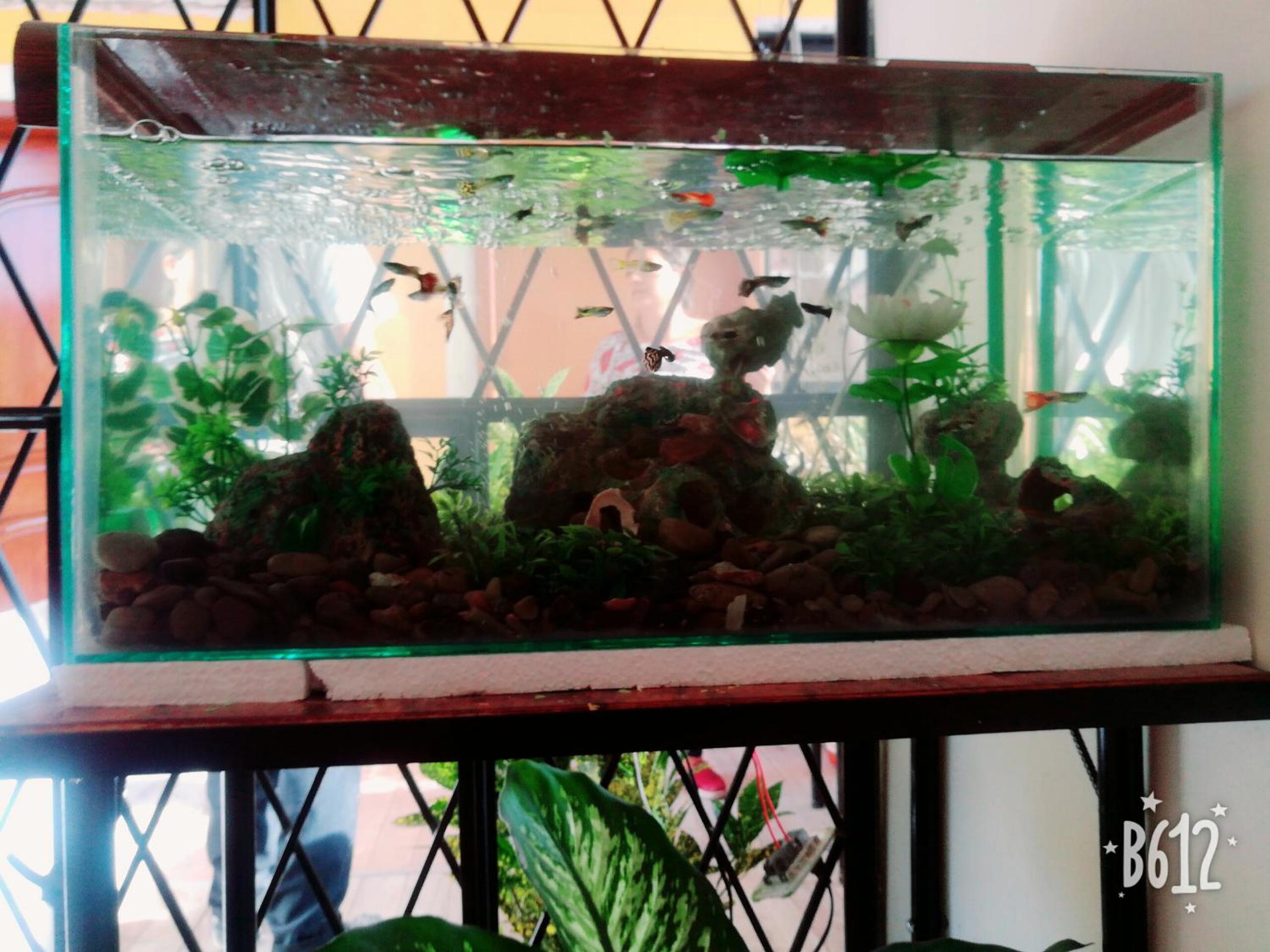 Photo 16