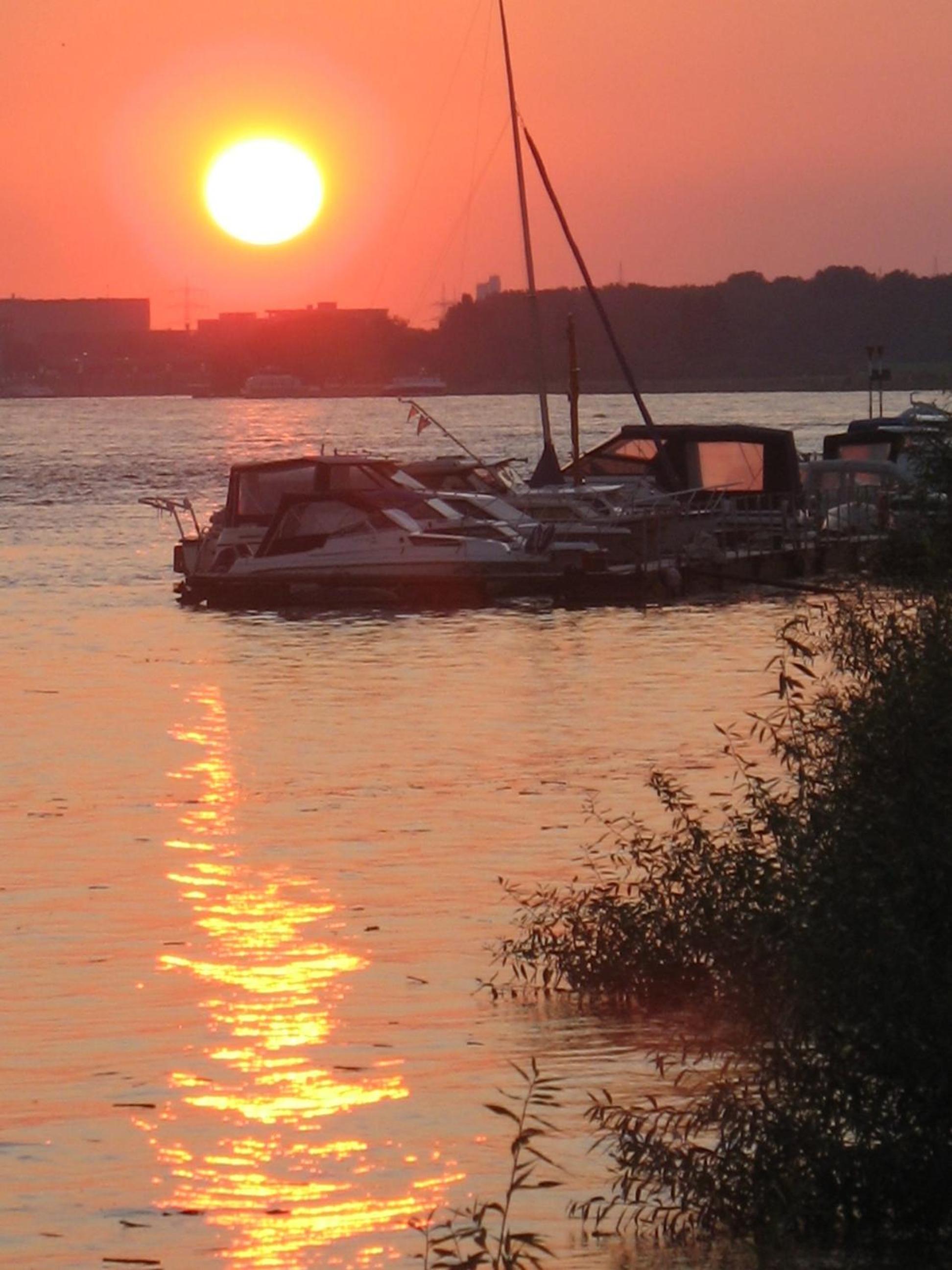 Rhein River Guesthouse - direkt am Rhein