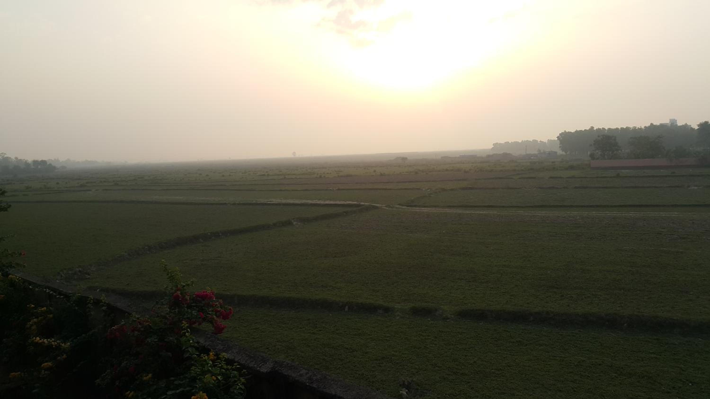 Shantiniketan Bungalow view 4