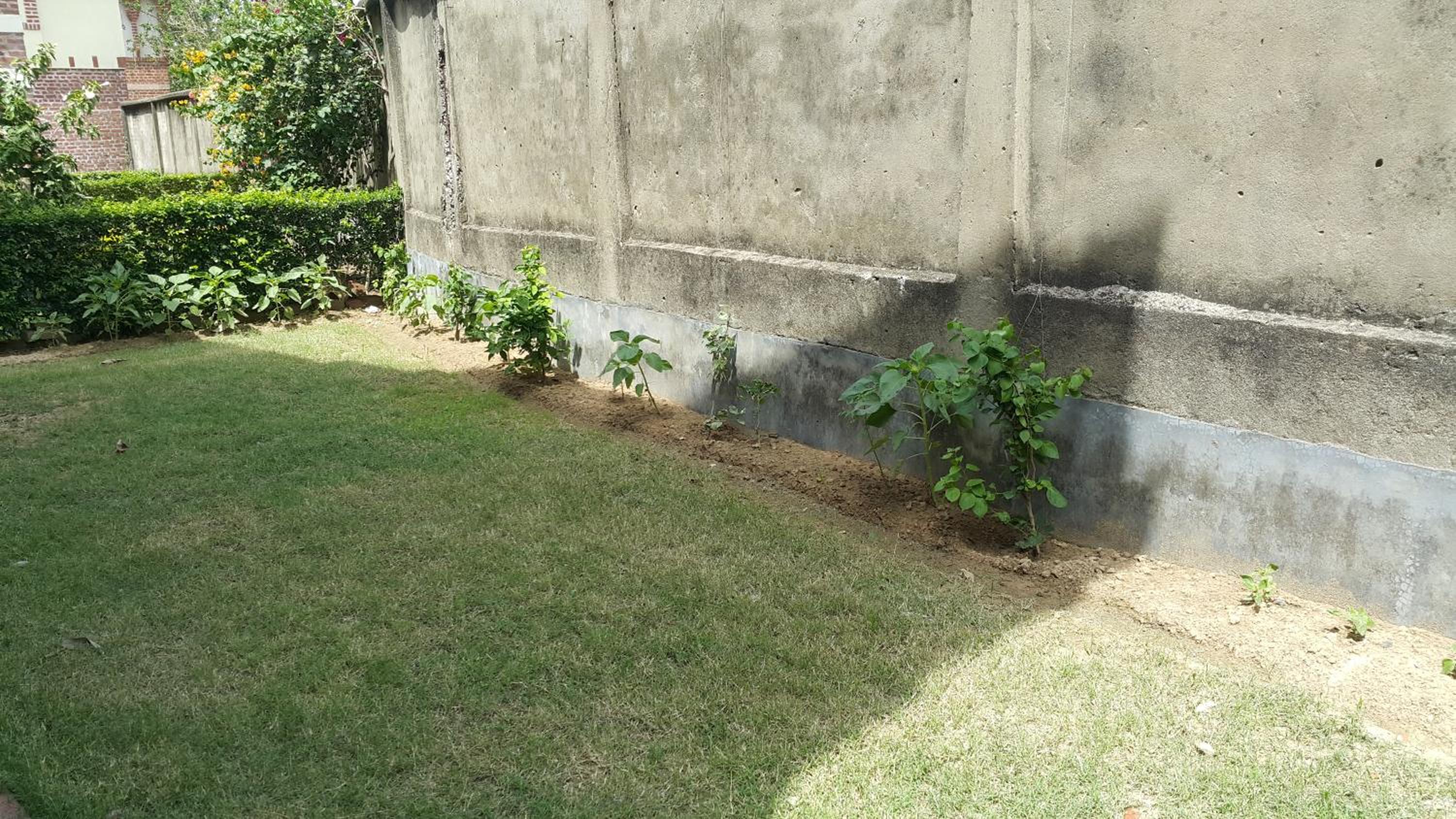 Shantiniketan Bungalow view 3