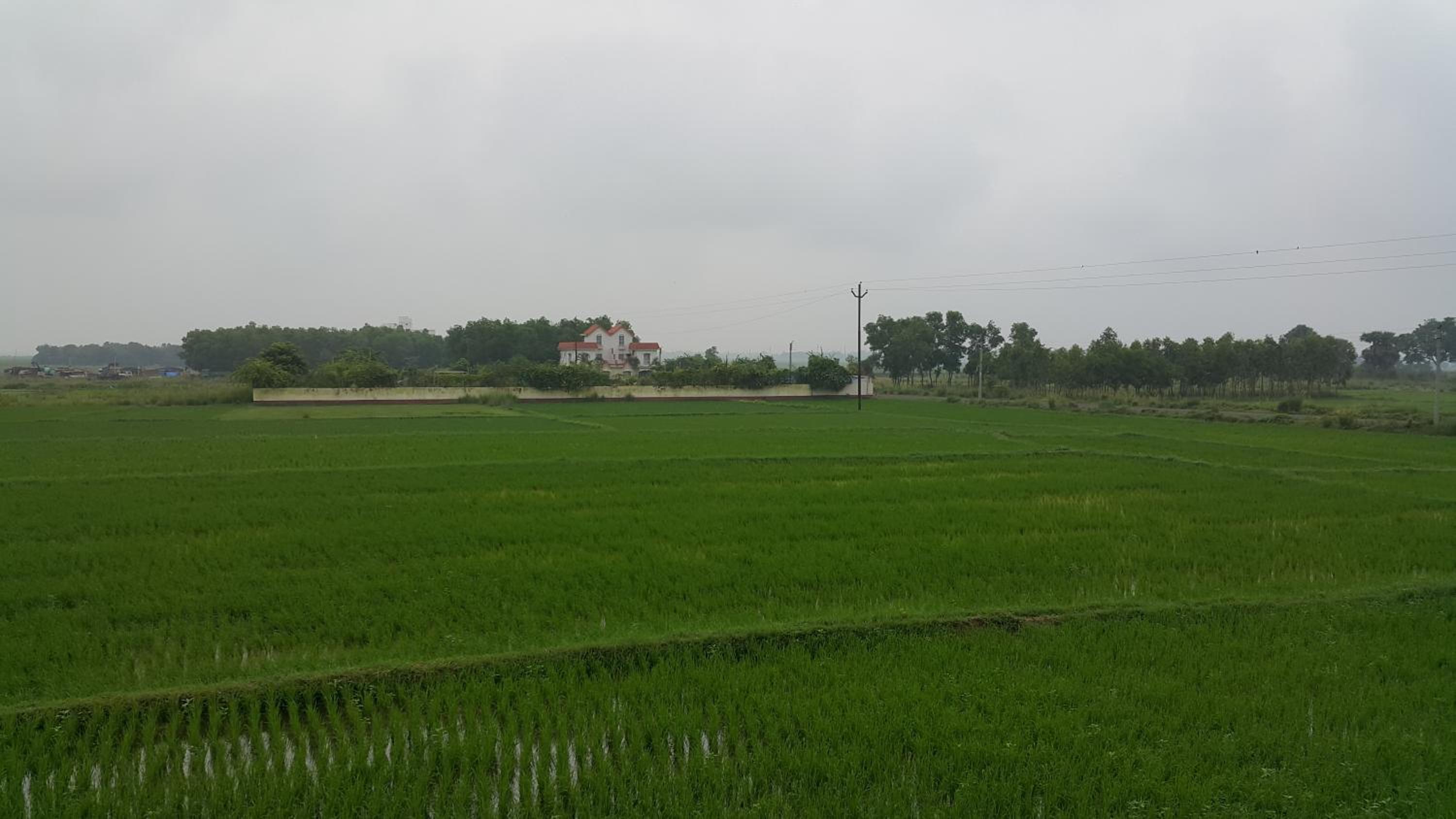 Photo 30