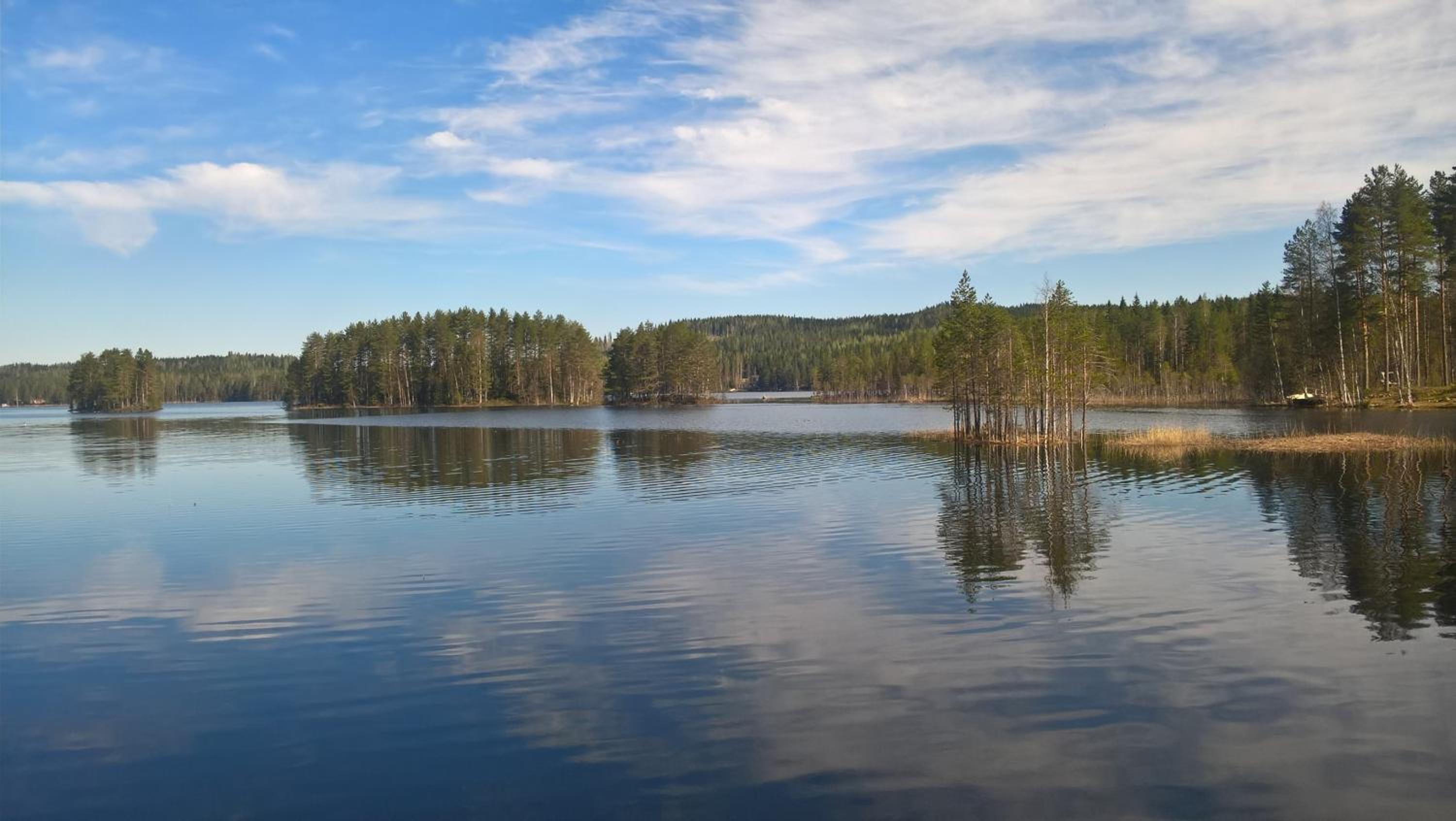 Lake Cottage Koivuniemi