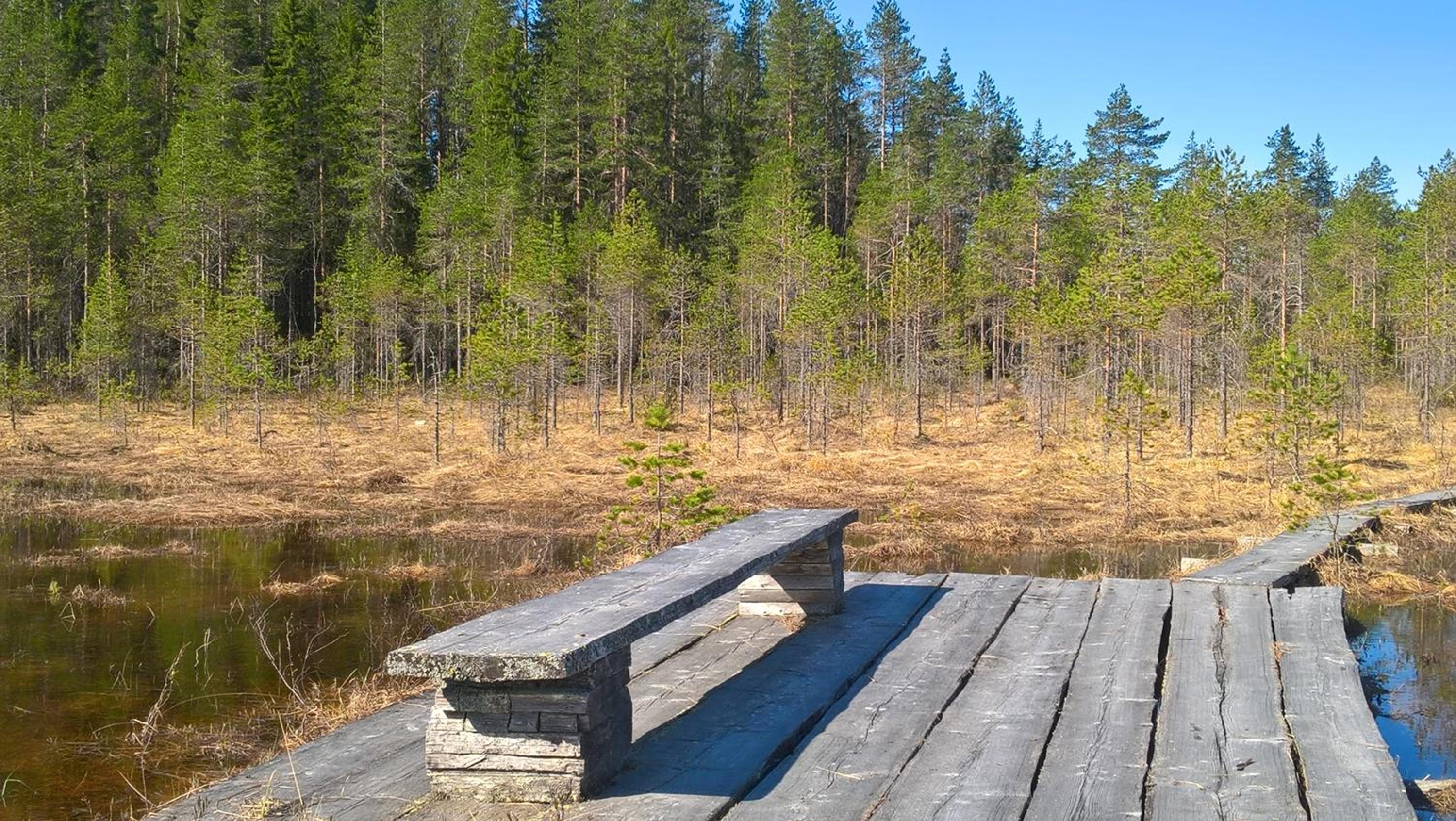 Lake Cottage Koivuniemi