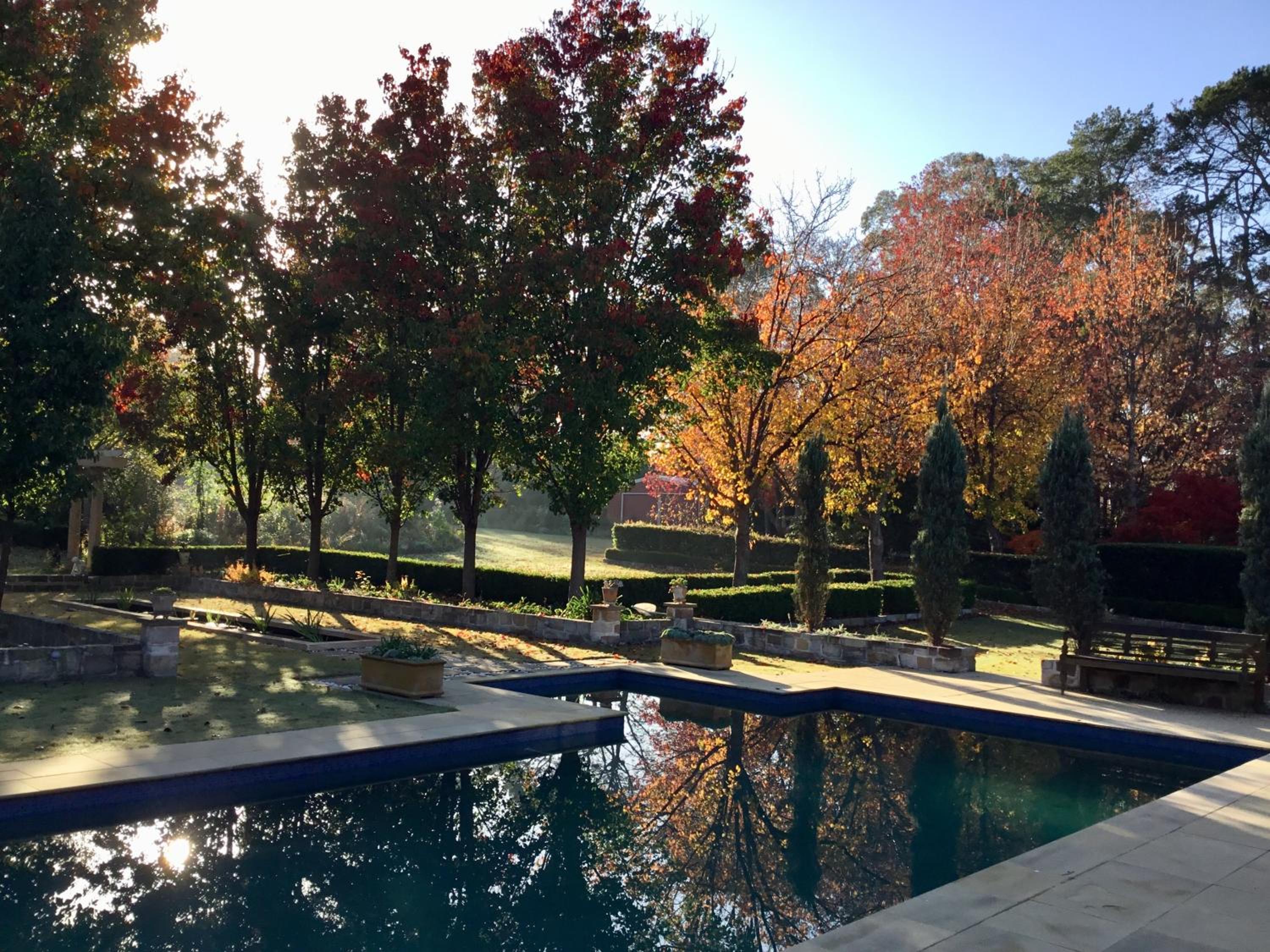 One Bedroom Cottage with Shared Pool