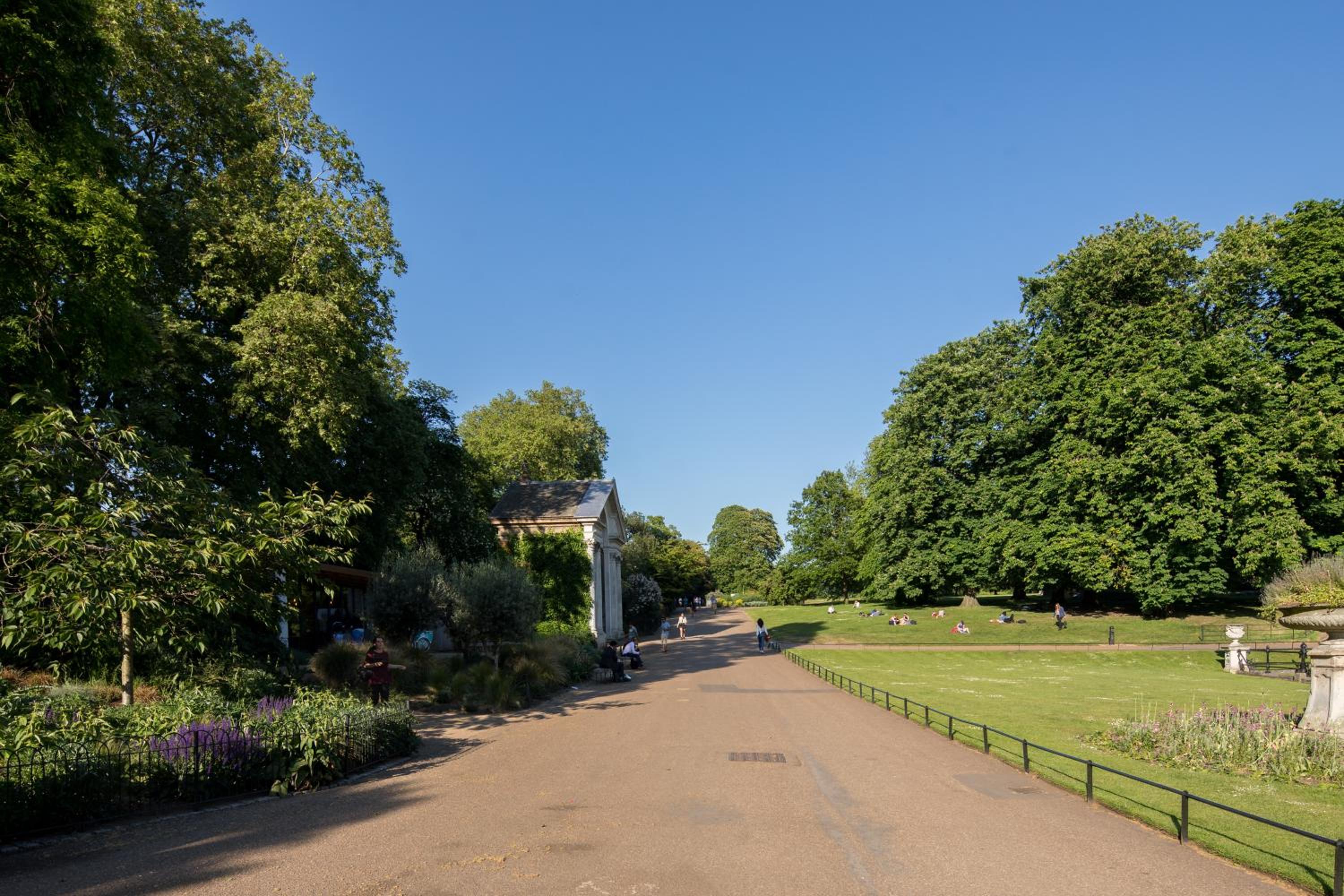 garden