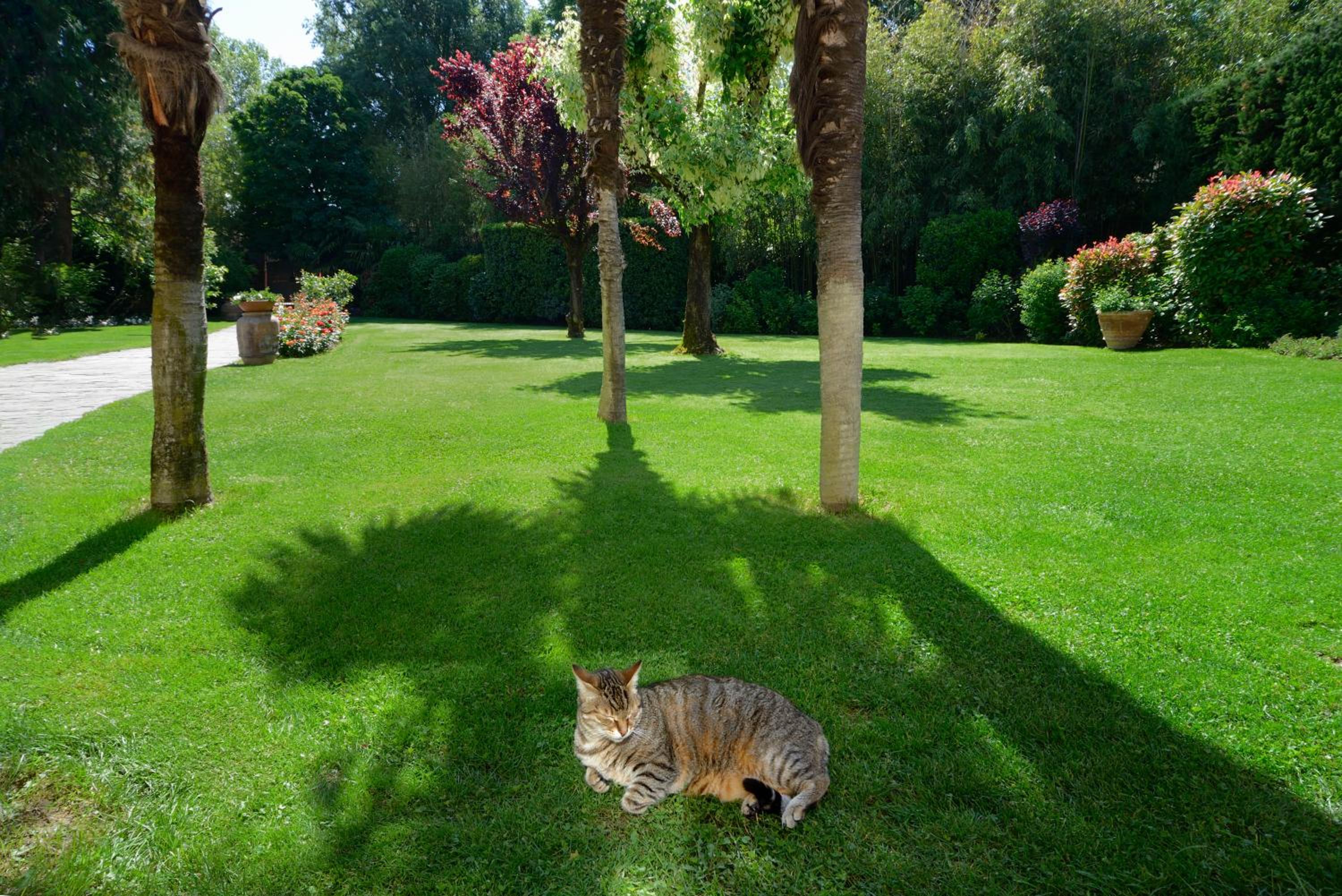 Villa Le Facezie B&B