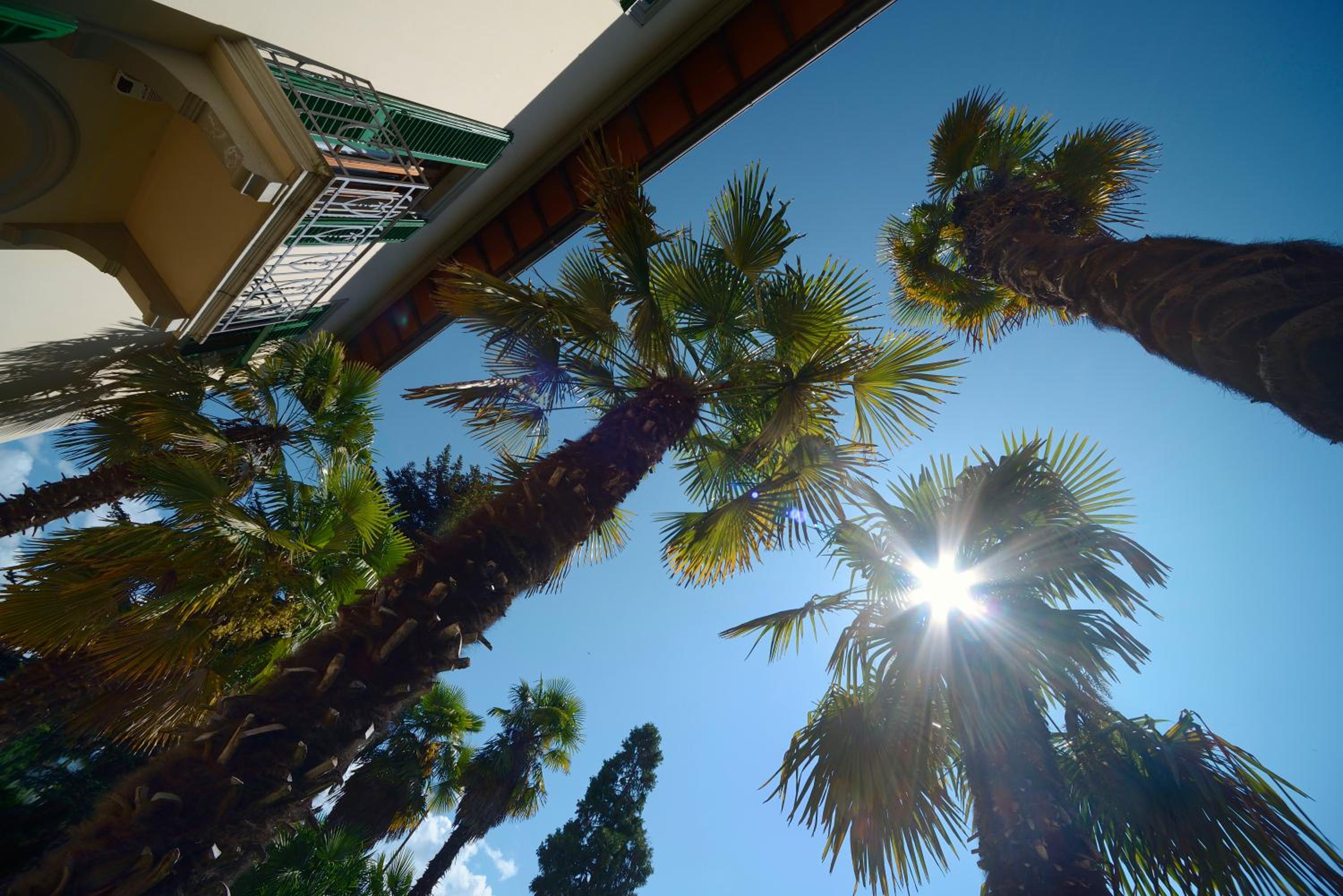 Villa Le Facezie B&B