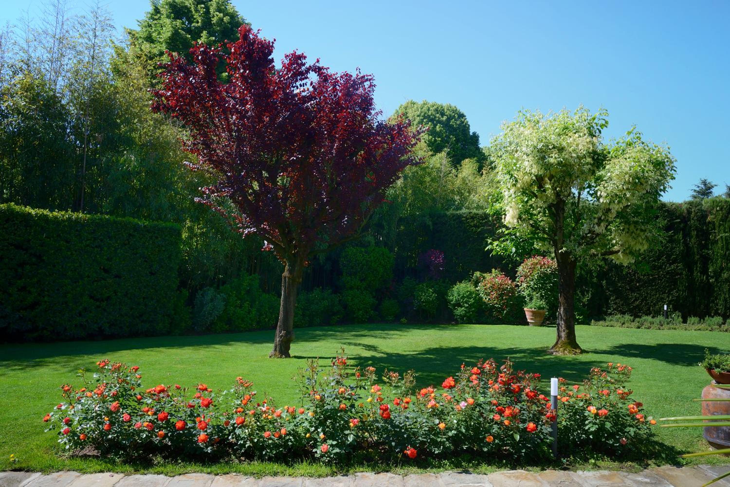 Villa Le Facezie B&B