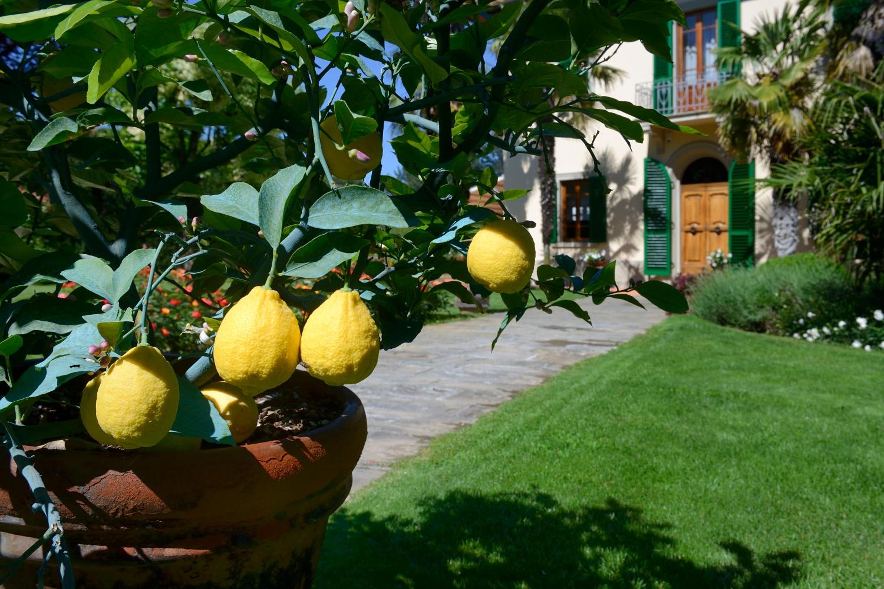 Villa Le Facezie B&B