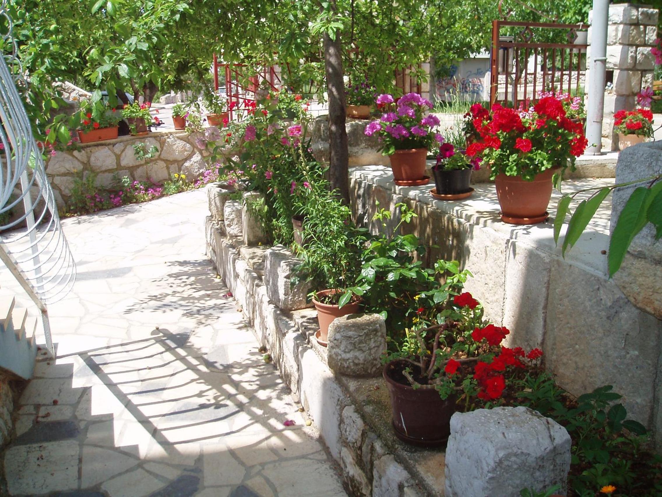 Photo 27