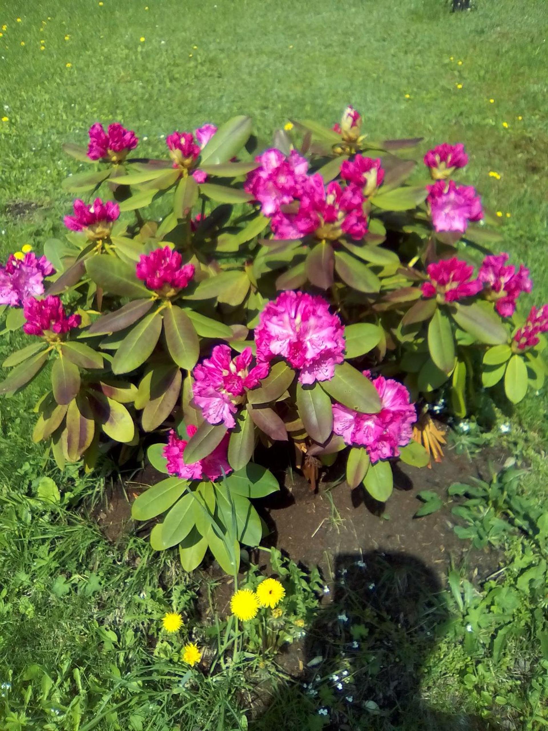 Photo 48