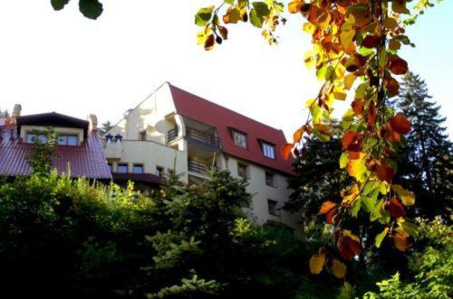 Hotel Carmen - Image 1