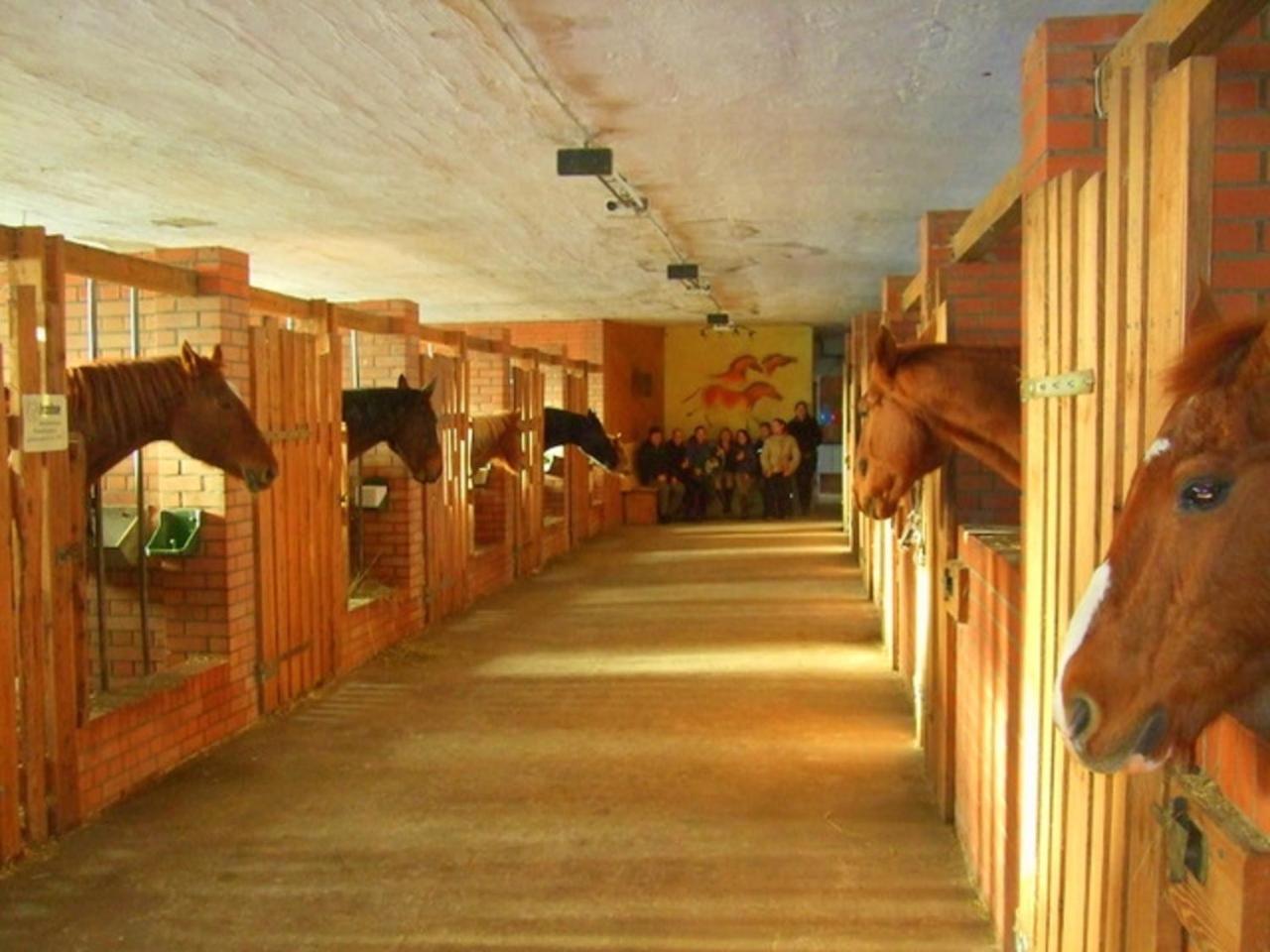 Hof Kranichweide, Ferienwohnung 