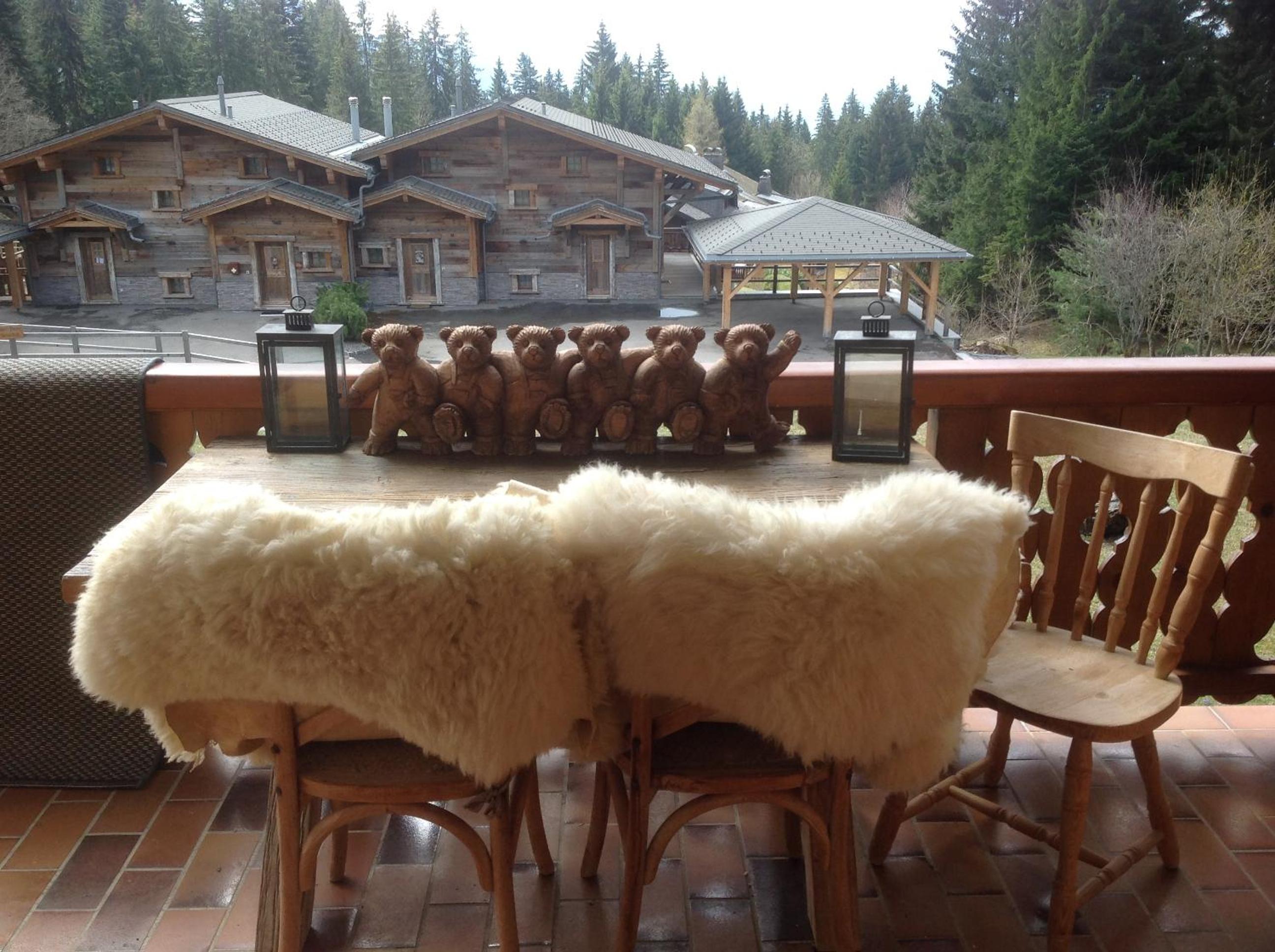 Petit Ours view 2