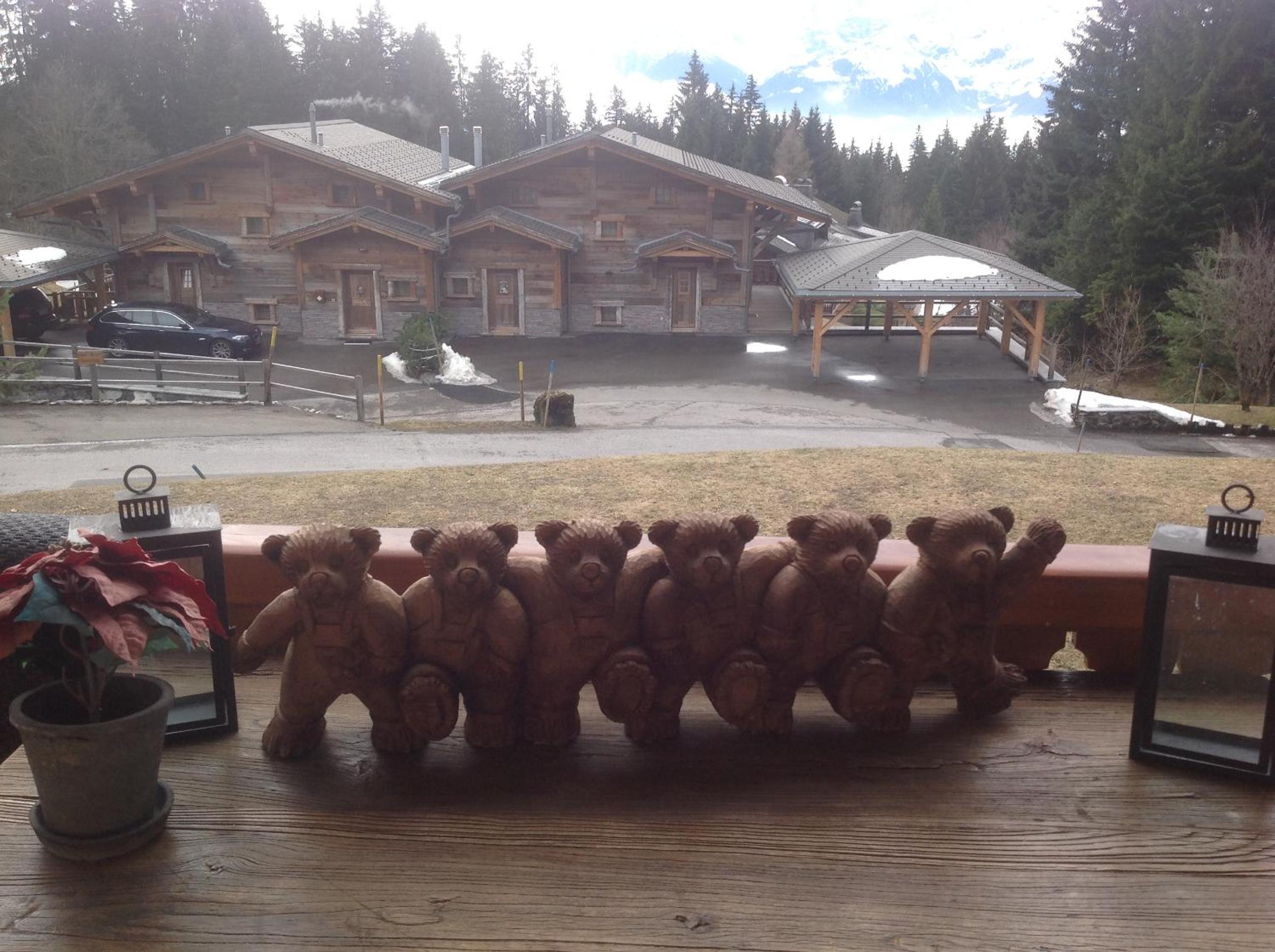 Petit Ours view 5