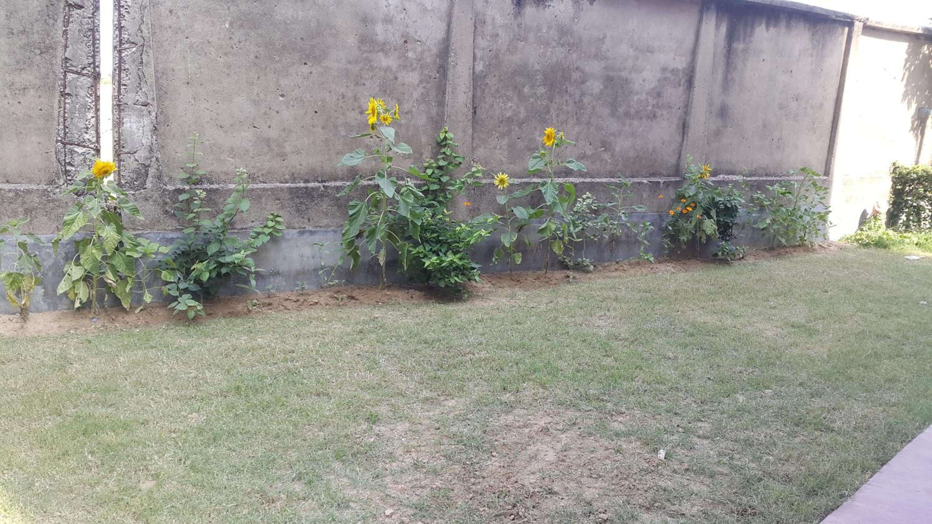 Shantiniketan Bungalow view 2