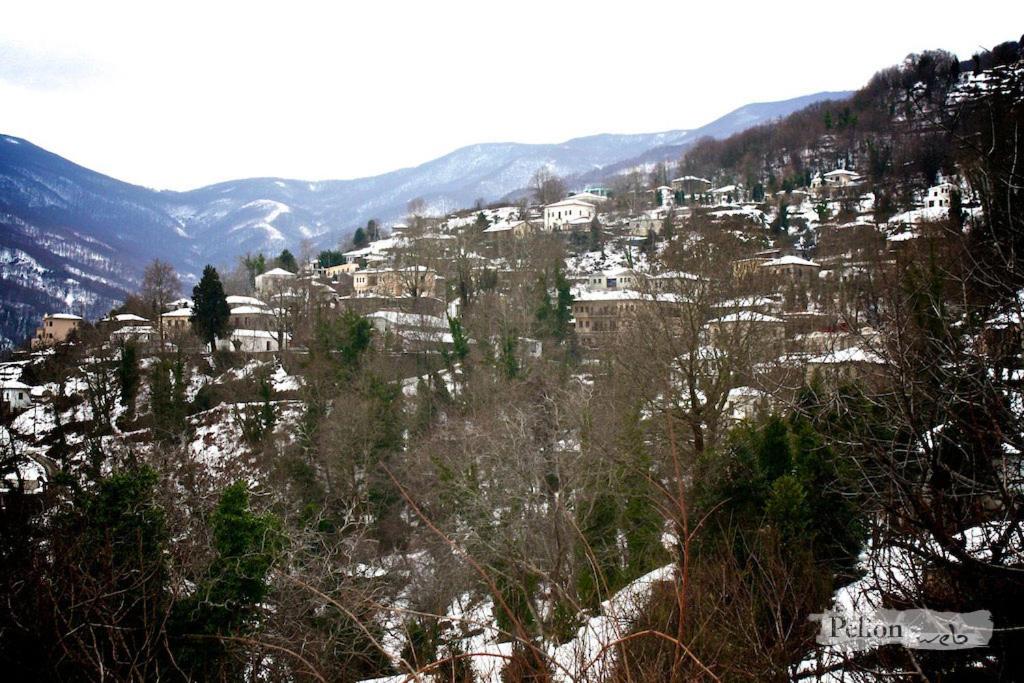 Traditional Stone House in pelion view 5
