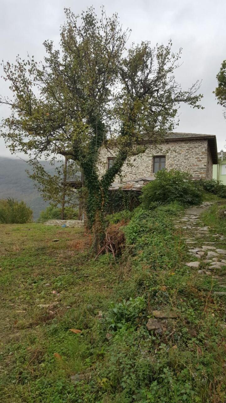 Photo 33
