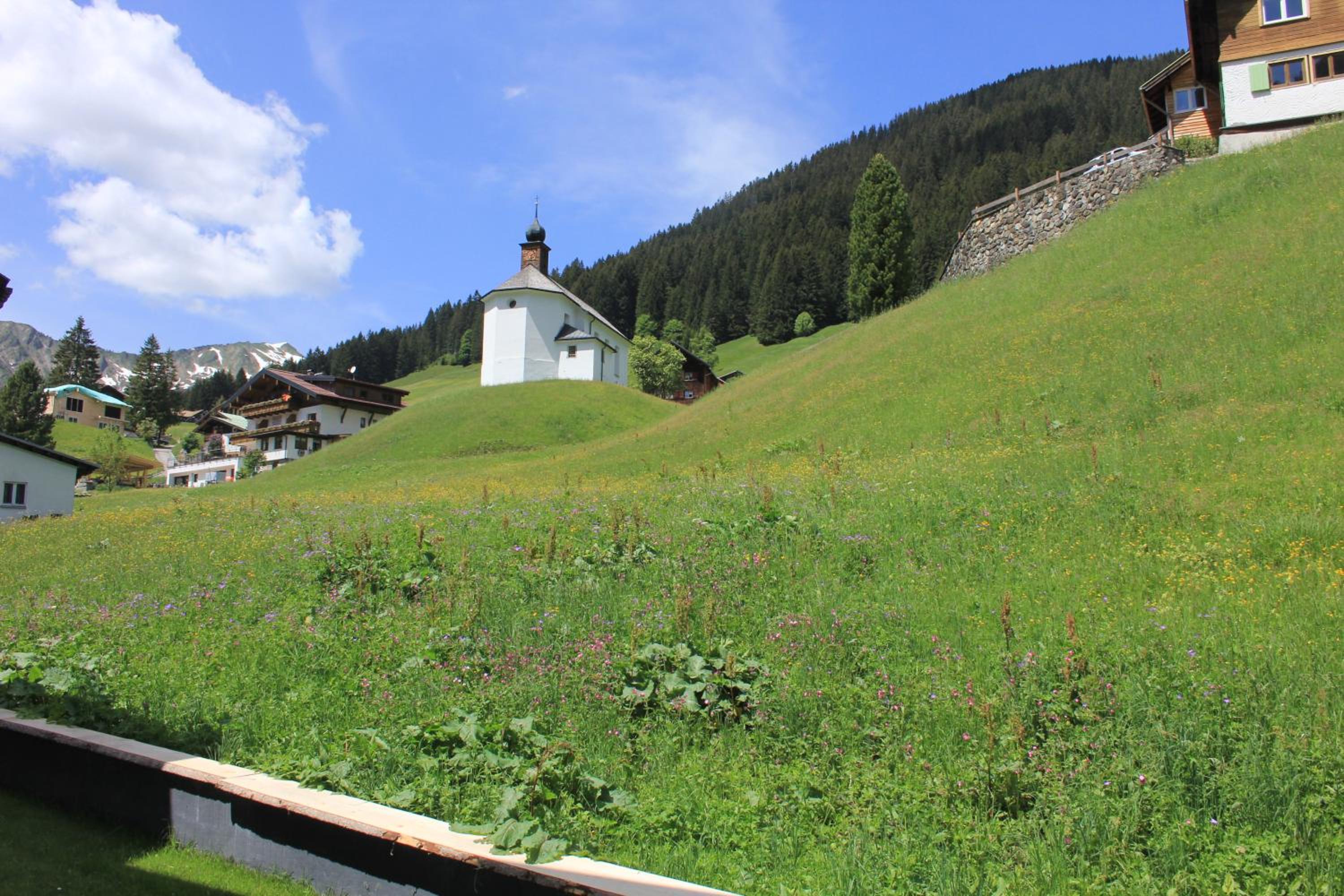 Photo 25