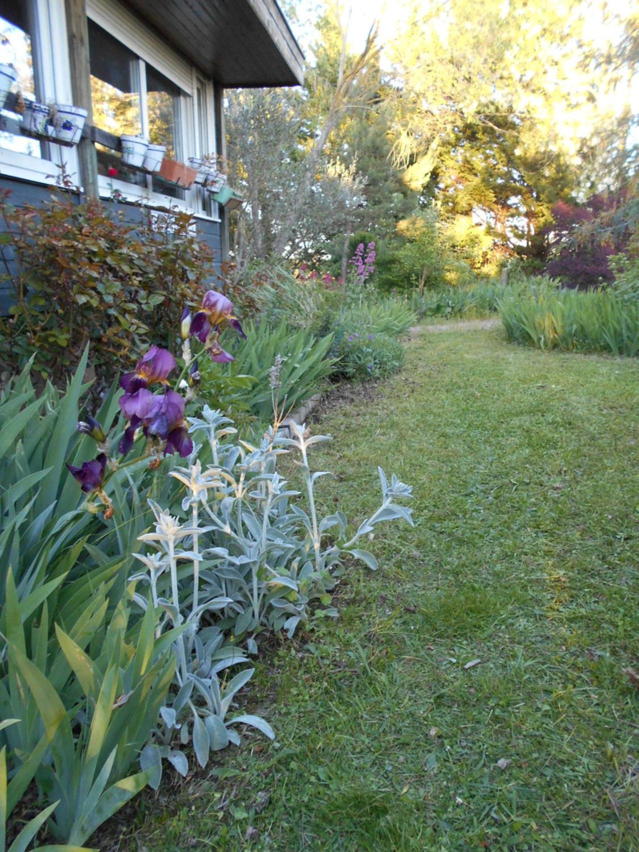 chez Isabelle, photo 2