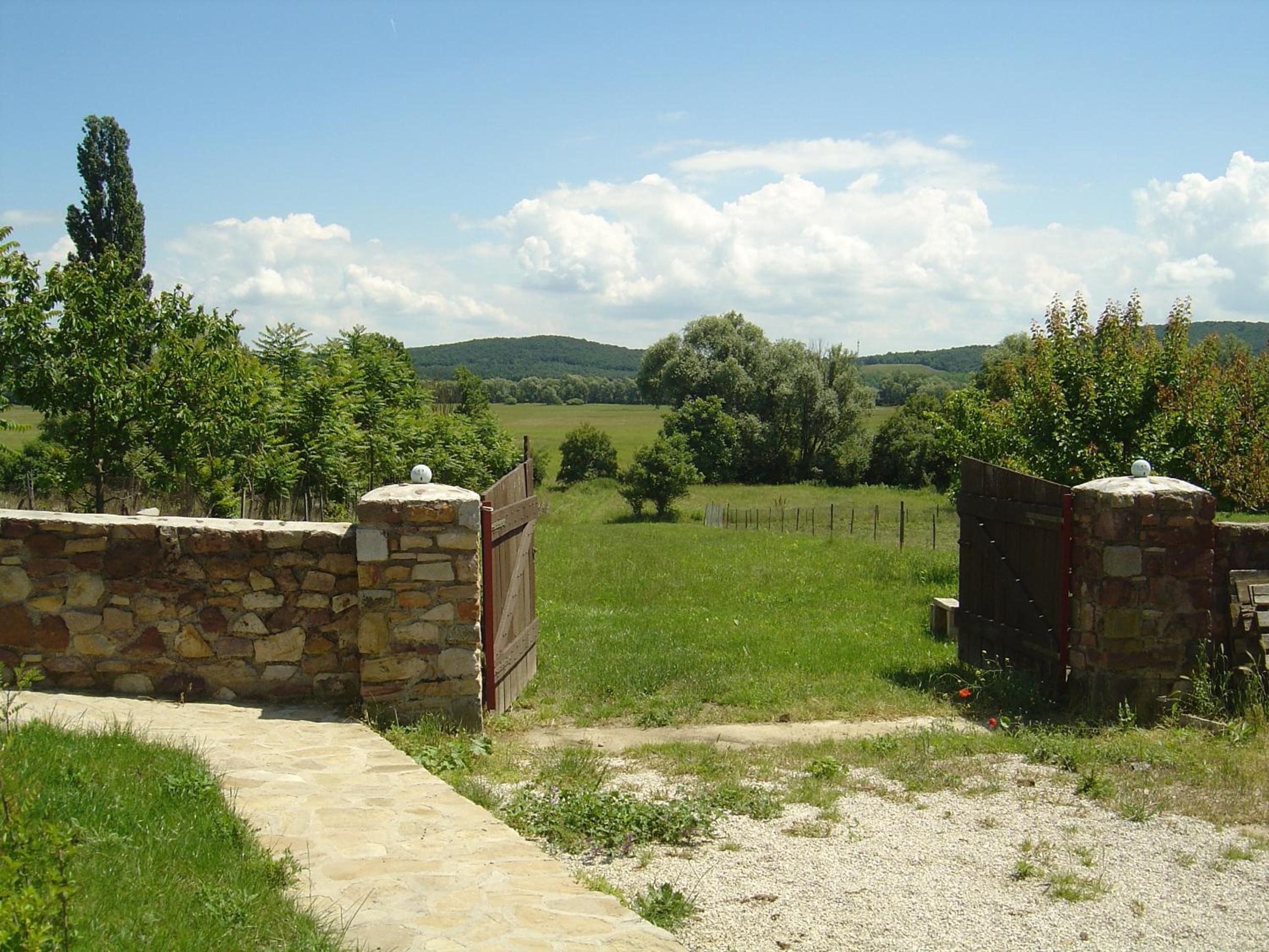 Photo 25