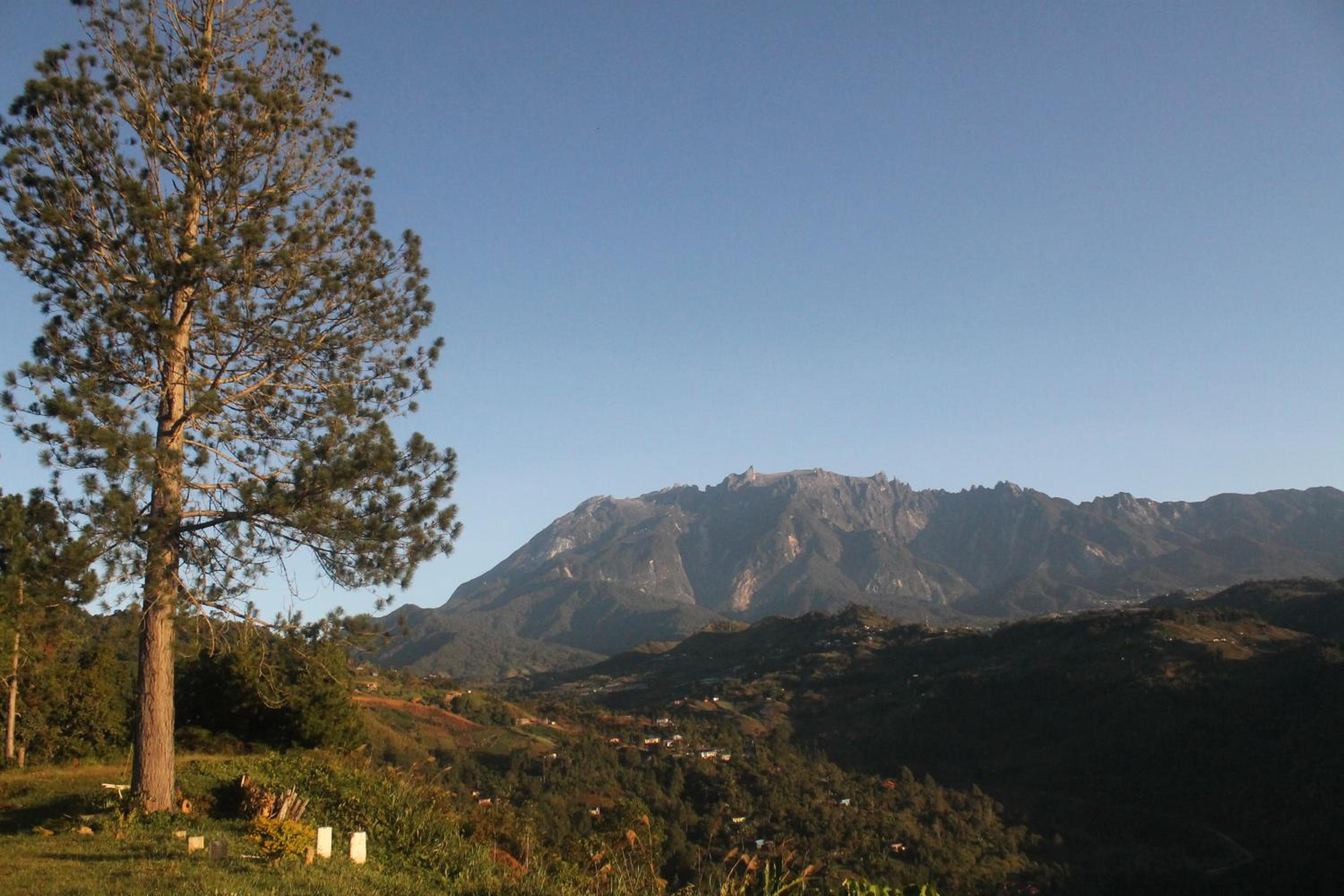 Jabez Kinabalu Inn photo 2