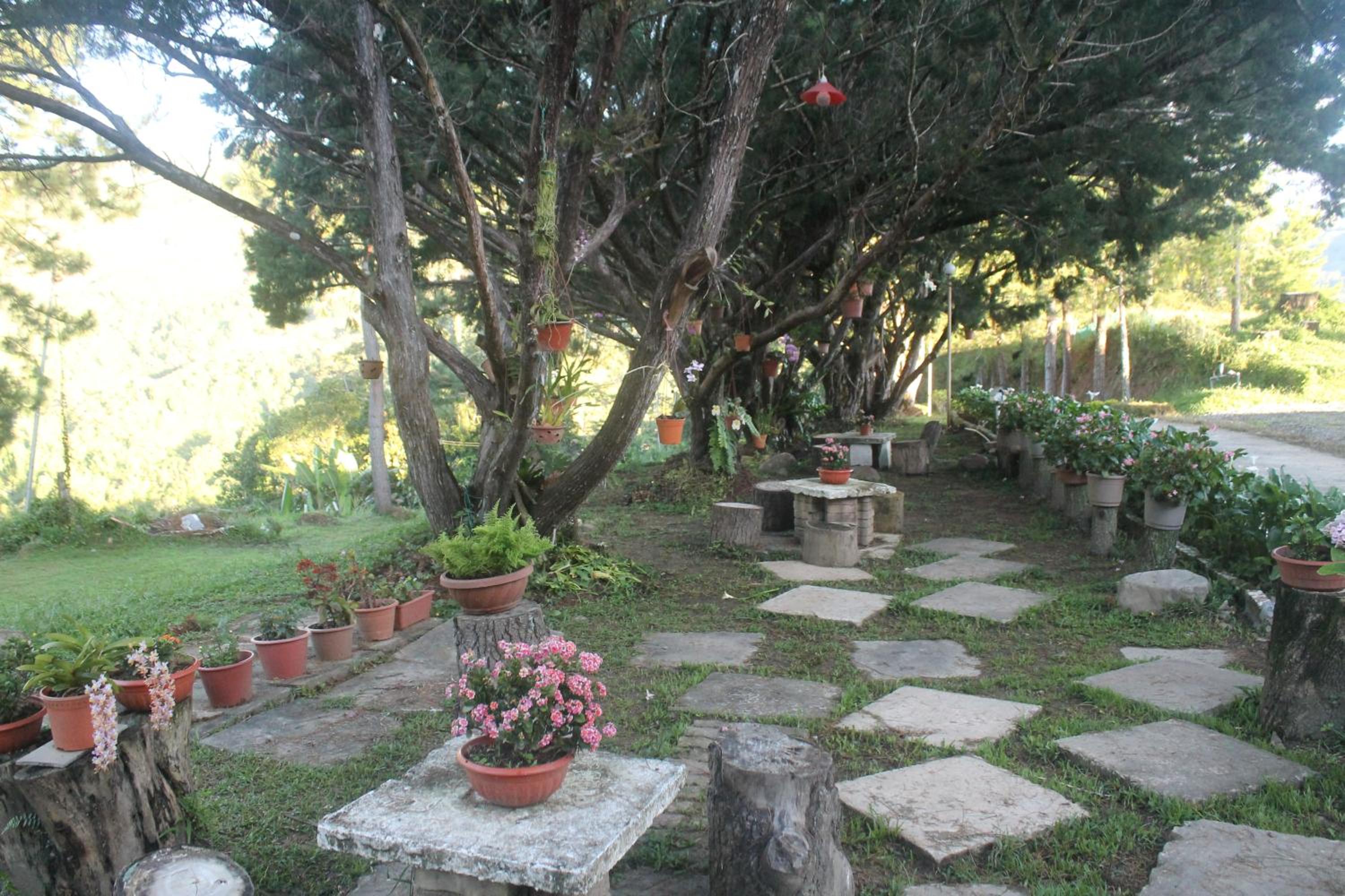 Photo 18