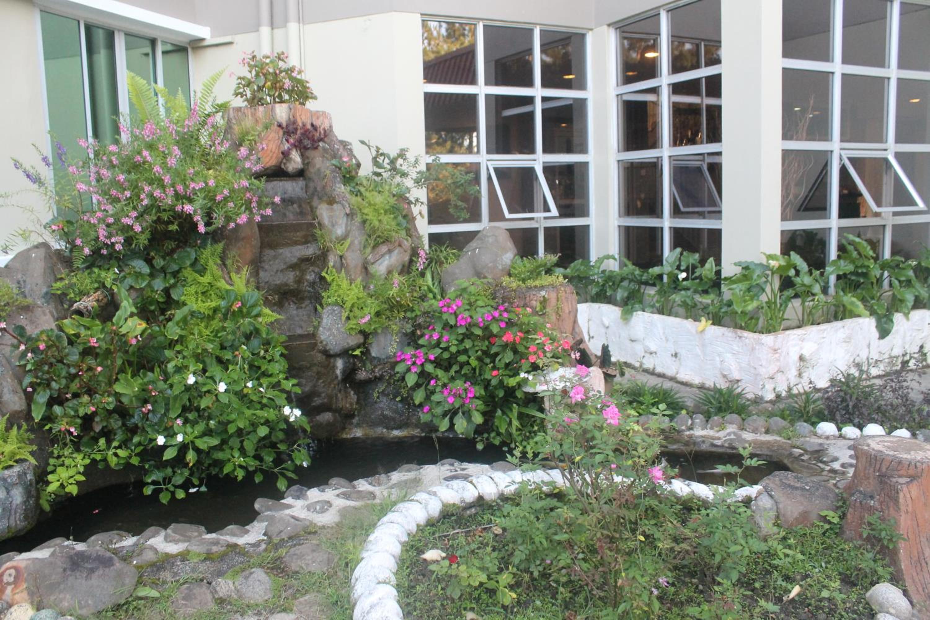 Photo 15