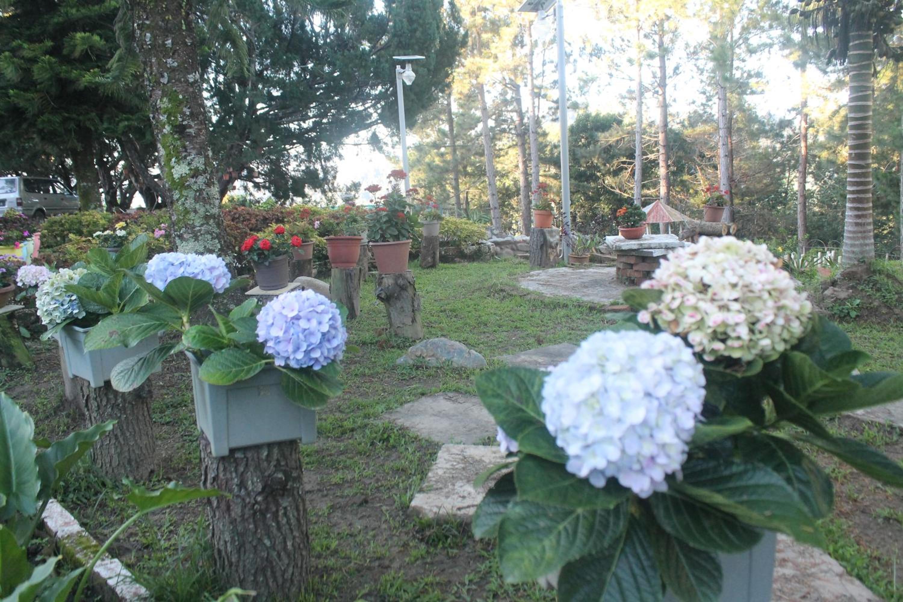Photo 14