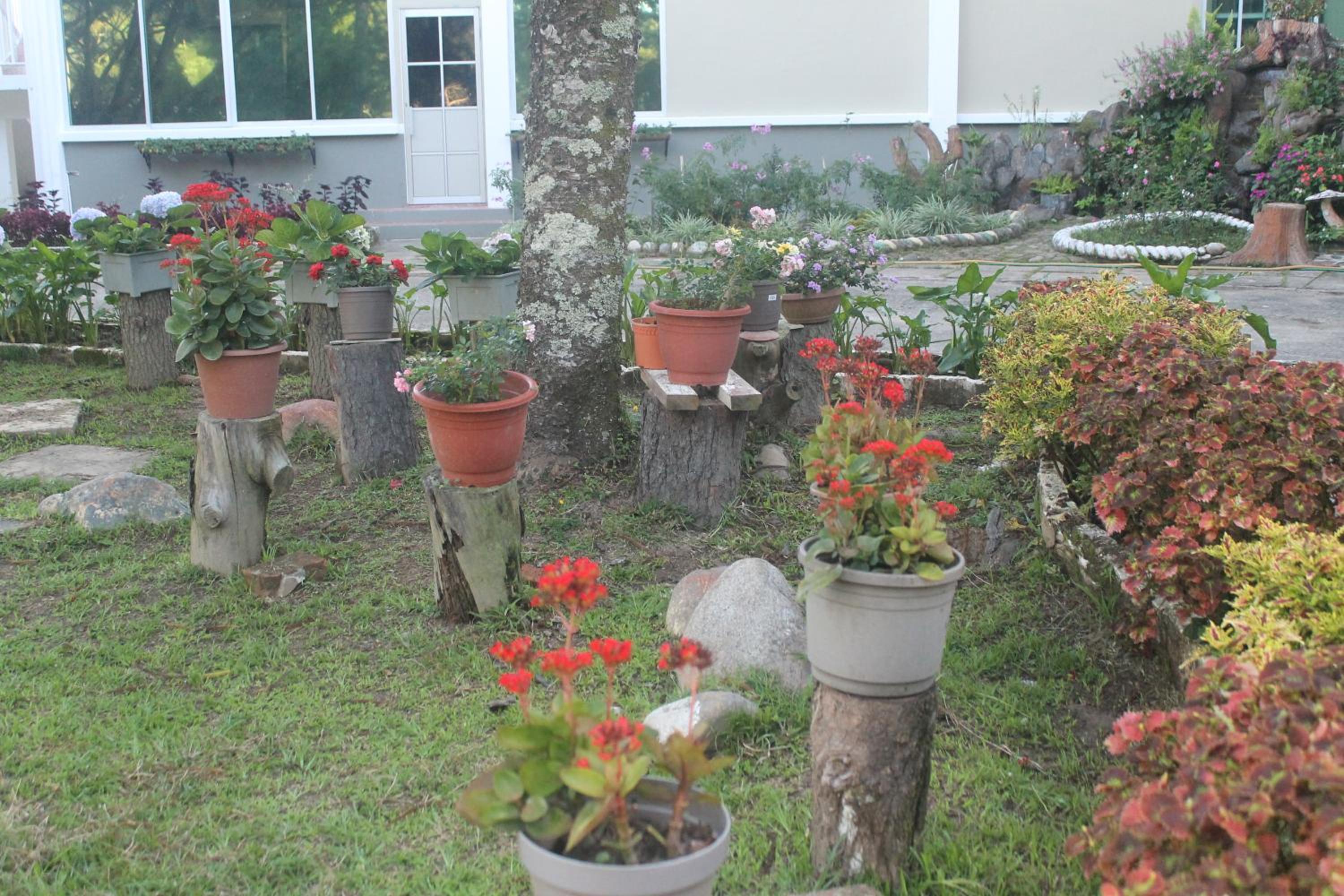 Photo 12