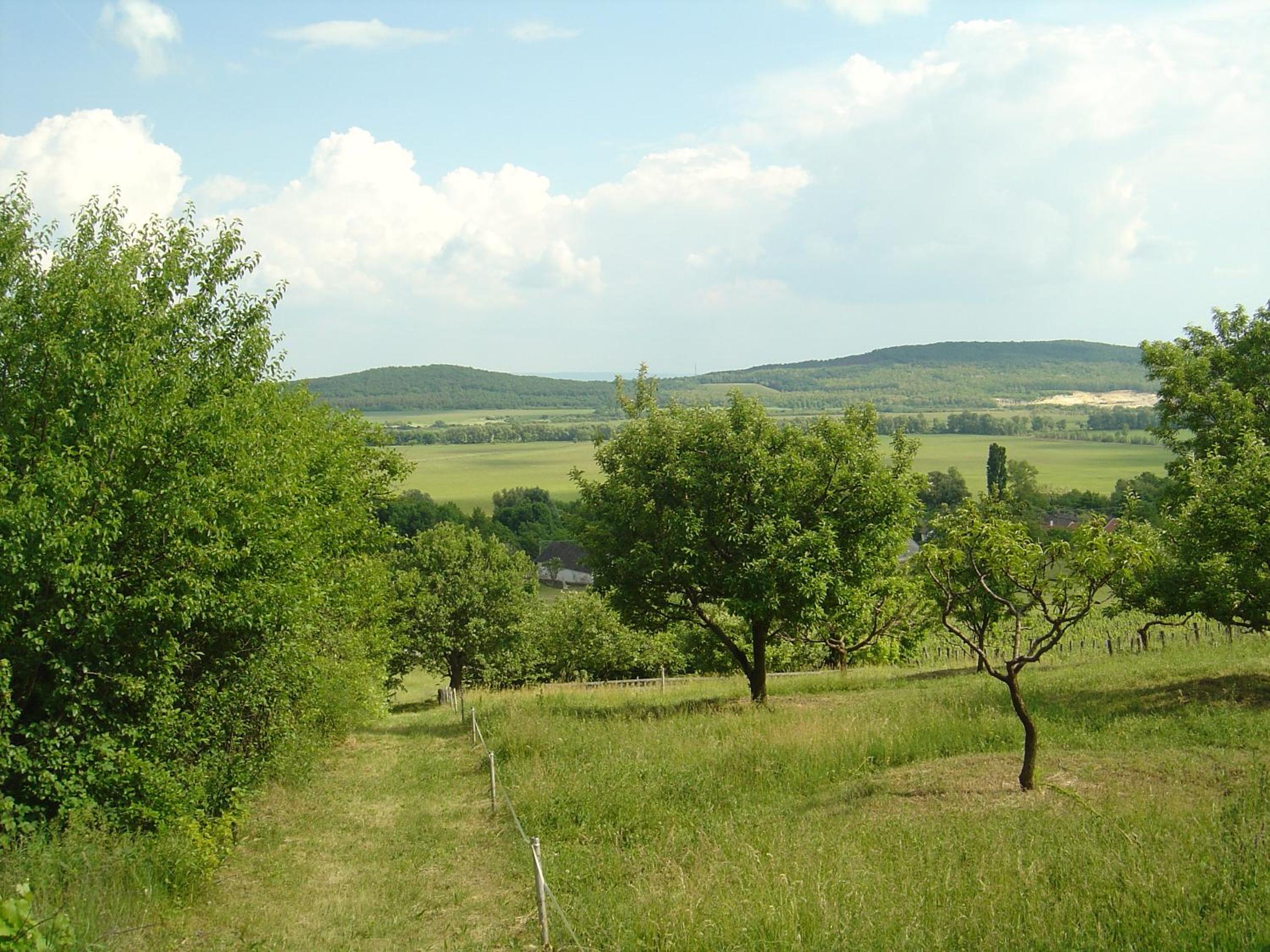 Photo 35