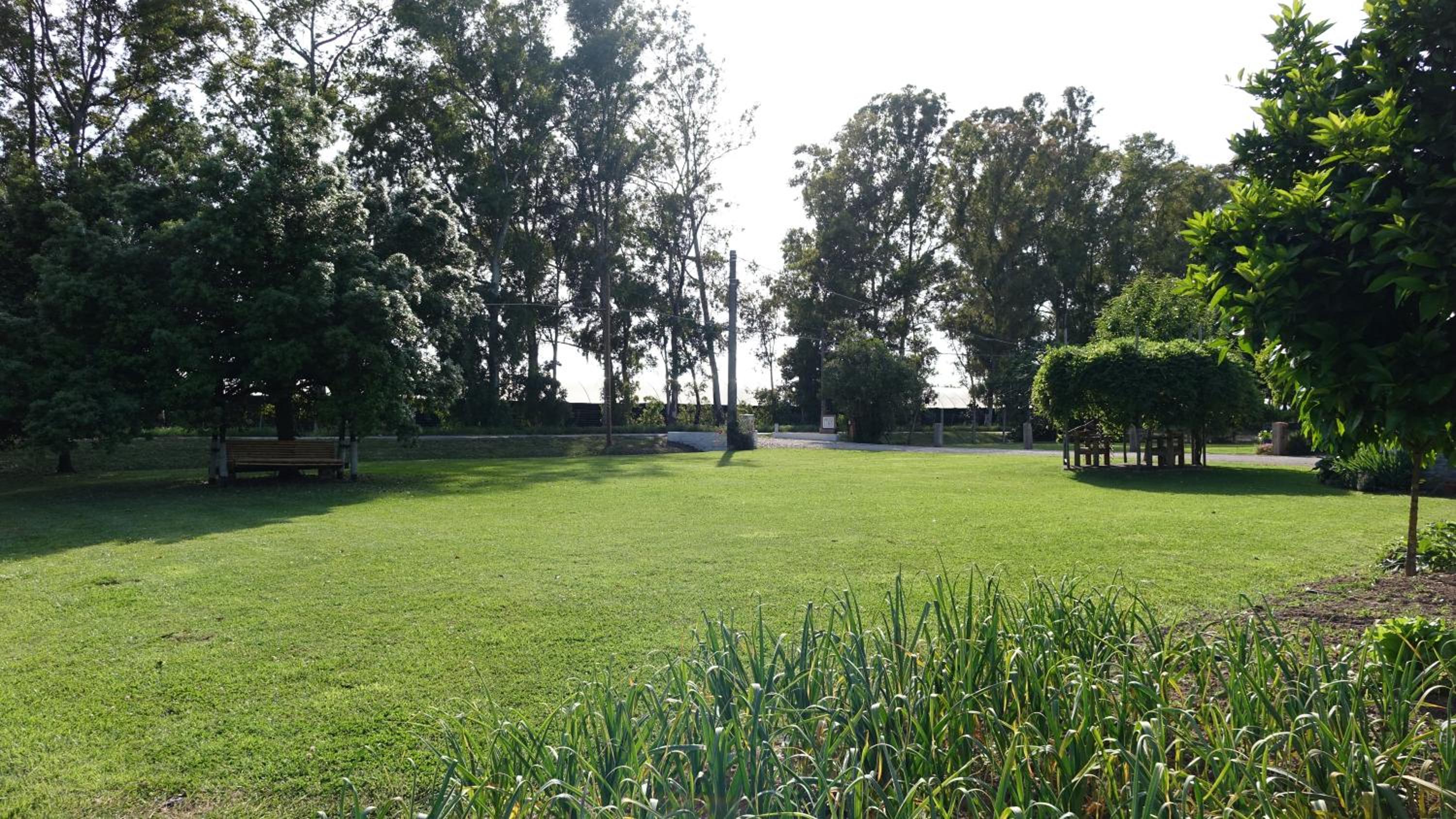 Photo 24