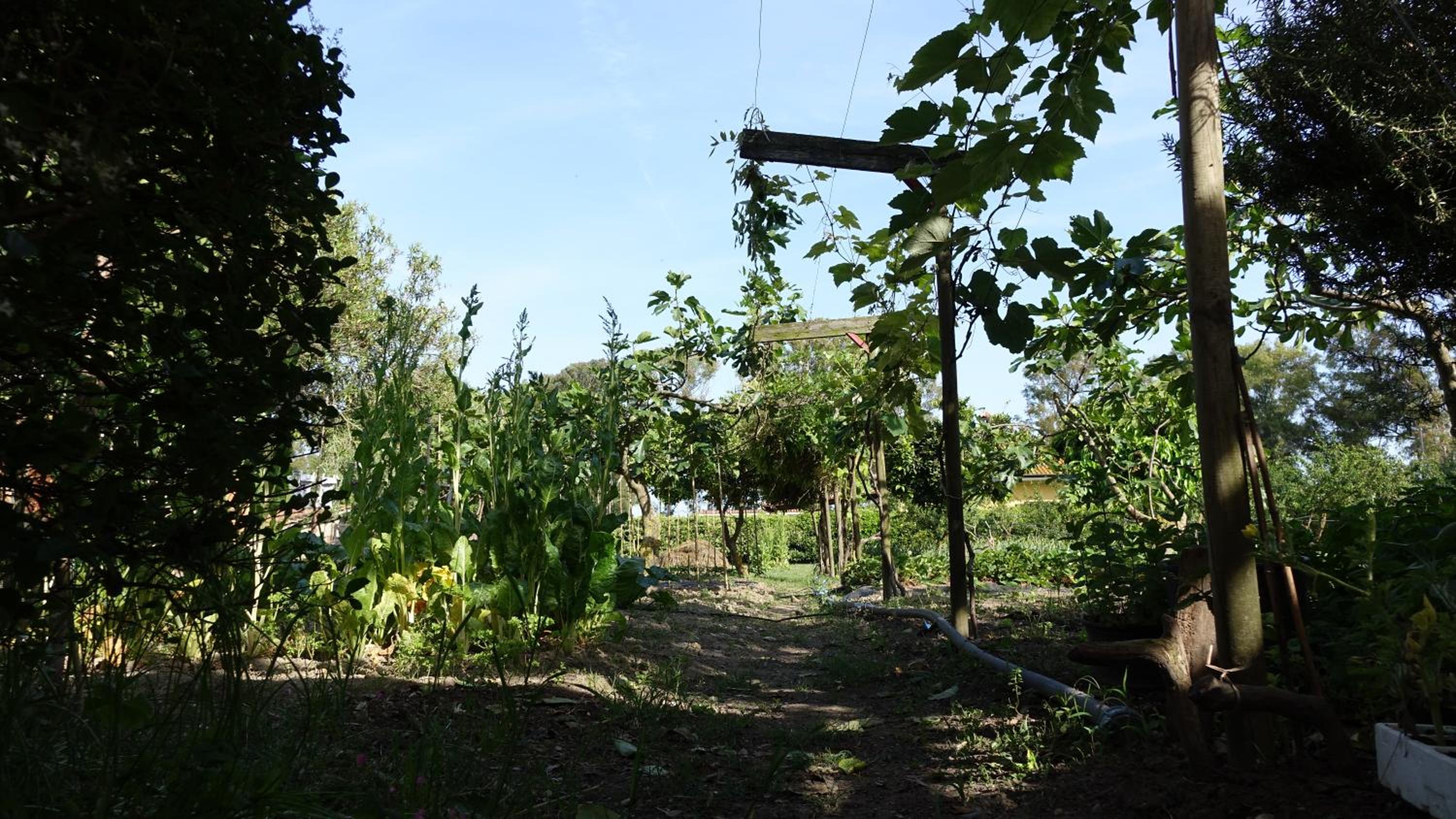 Photo 25