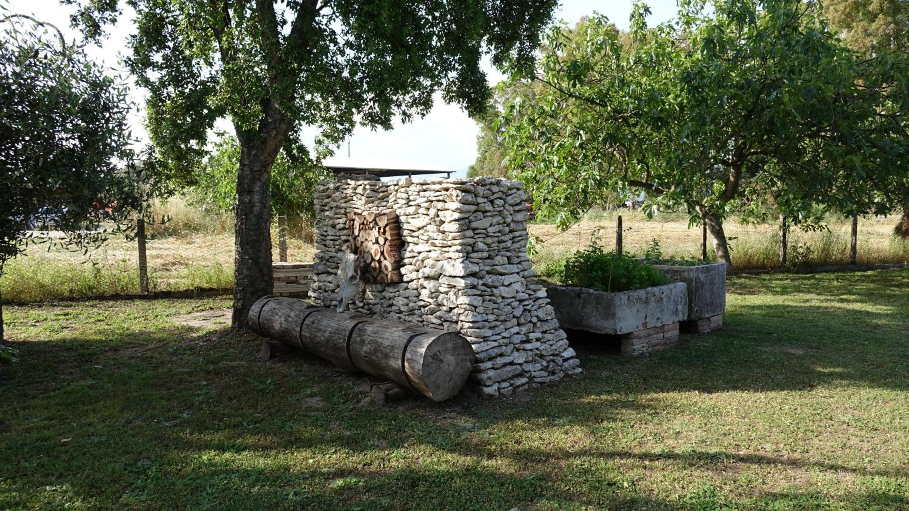 Photo 26