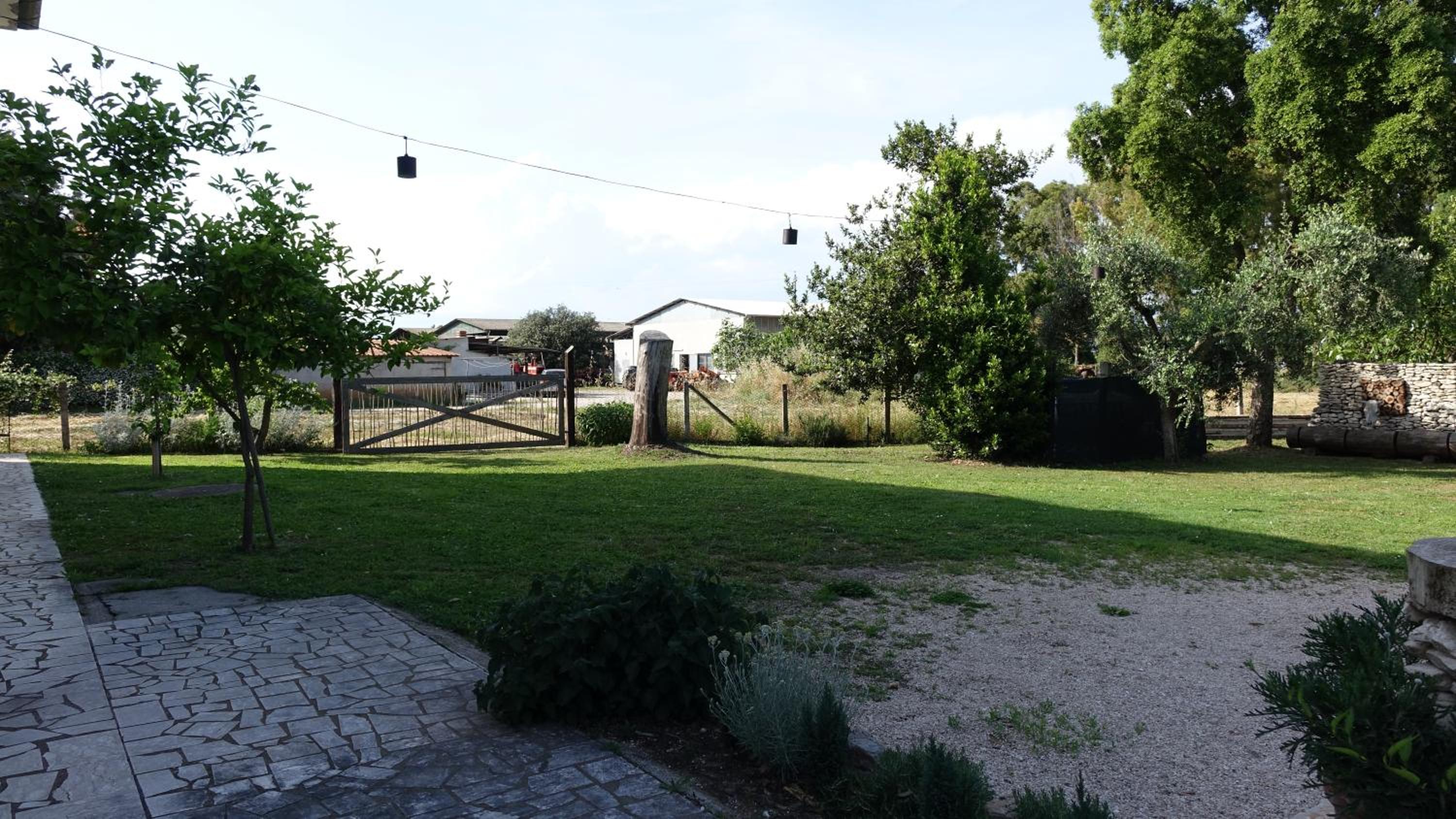 Photo 28