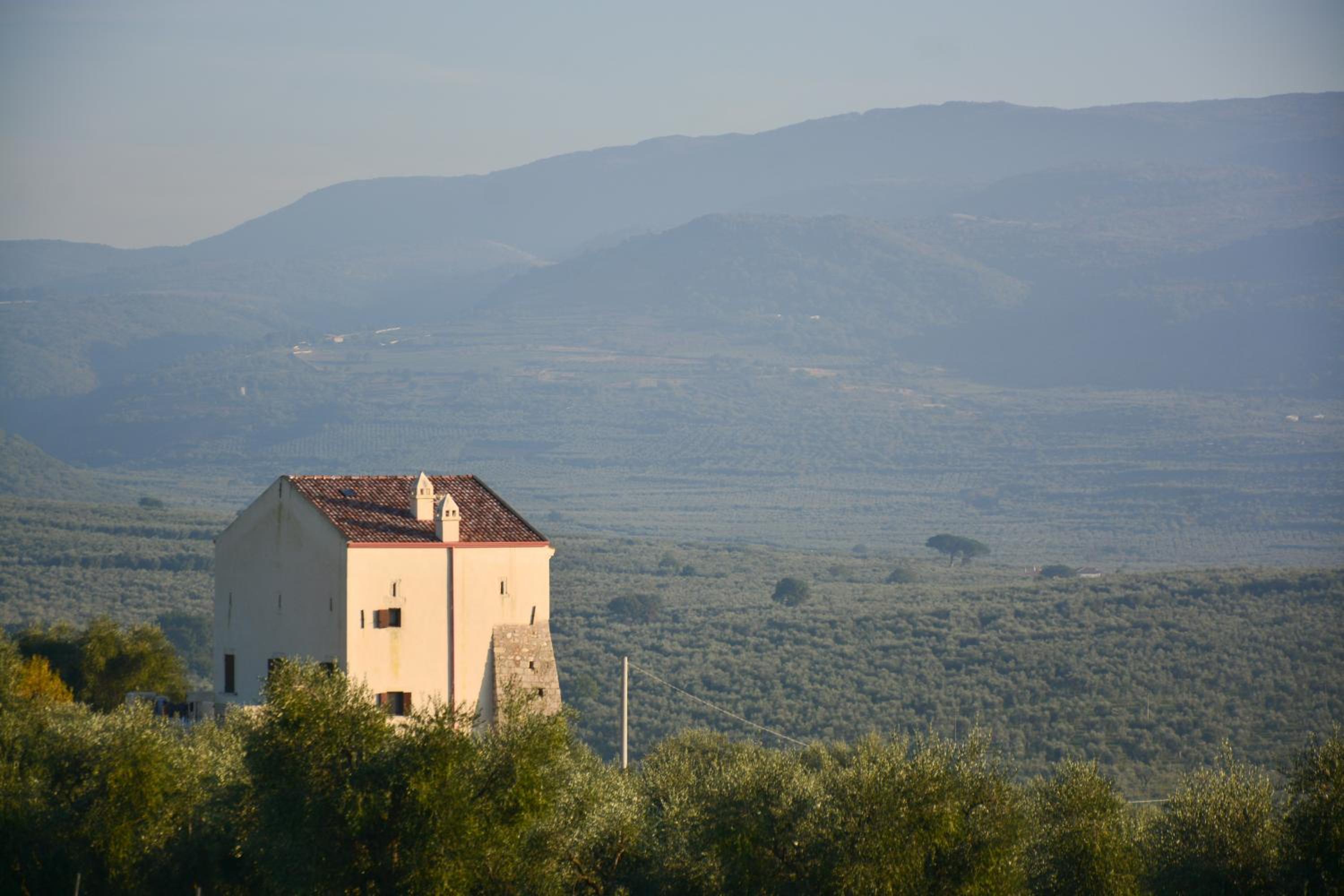 Torre Bruno view 5