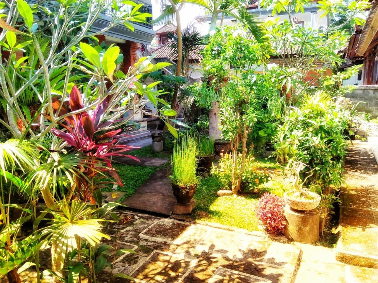 Yumi House view 5