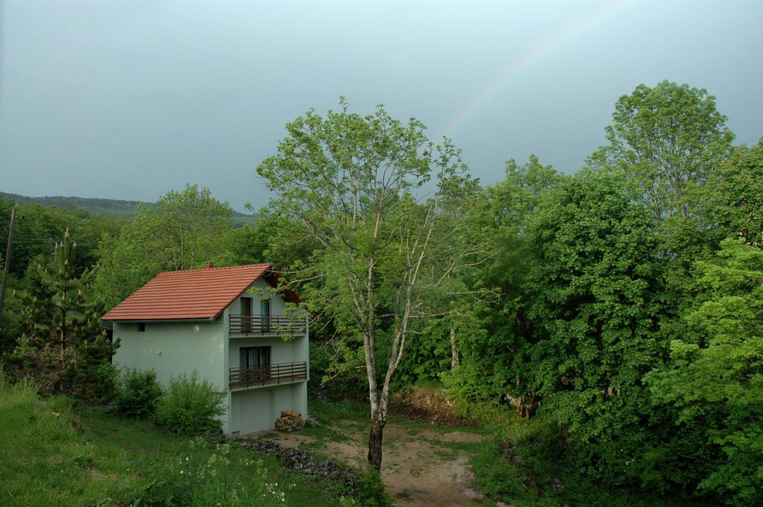 Photo 21